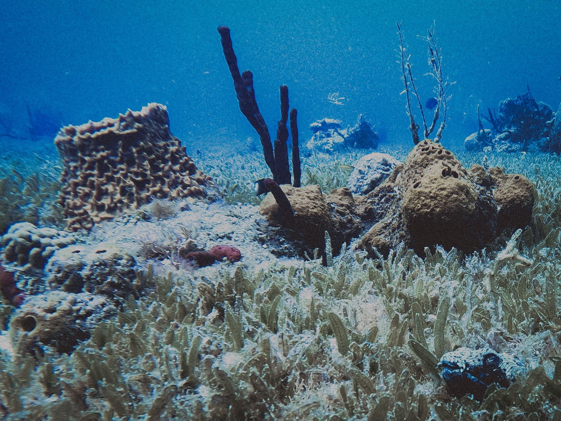 DCIM\100GOPRO\GOPR0313.JPG