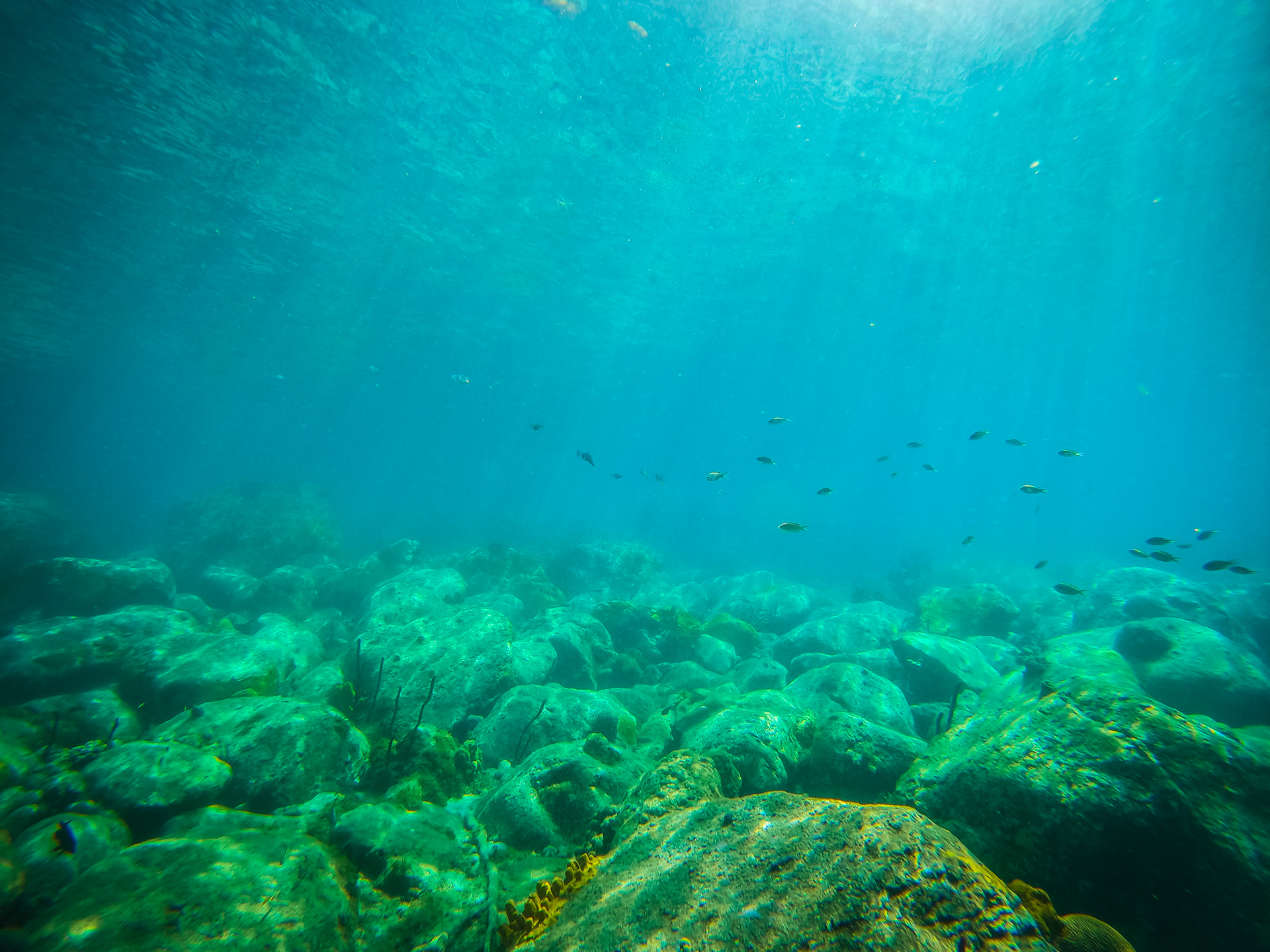 DCIM\100GOPRO\GOPR0296.JPG