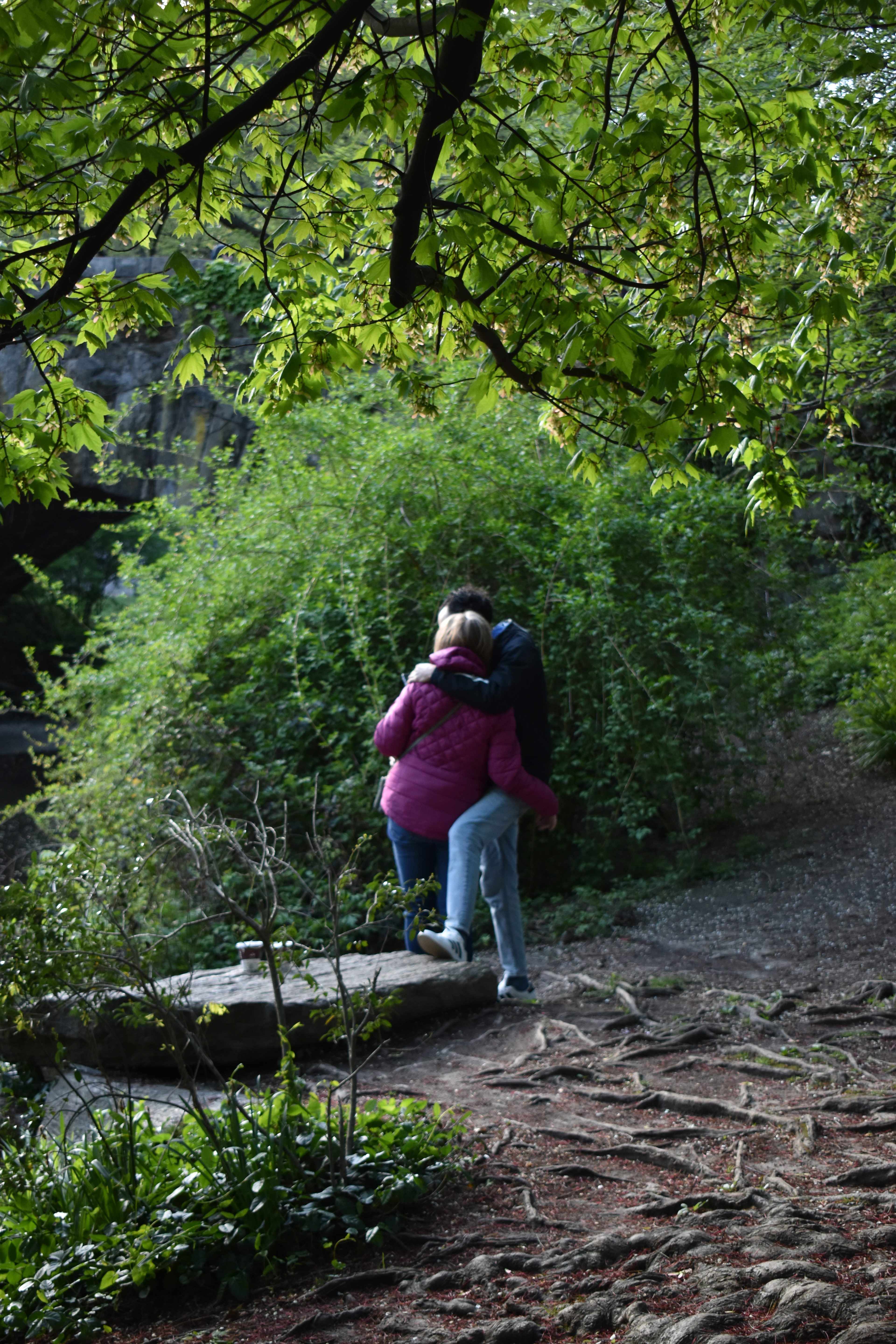 Untitled, 2025, Nikon D3500, New York