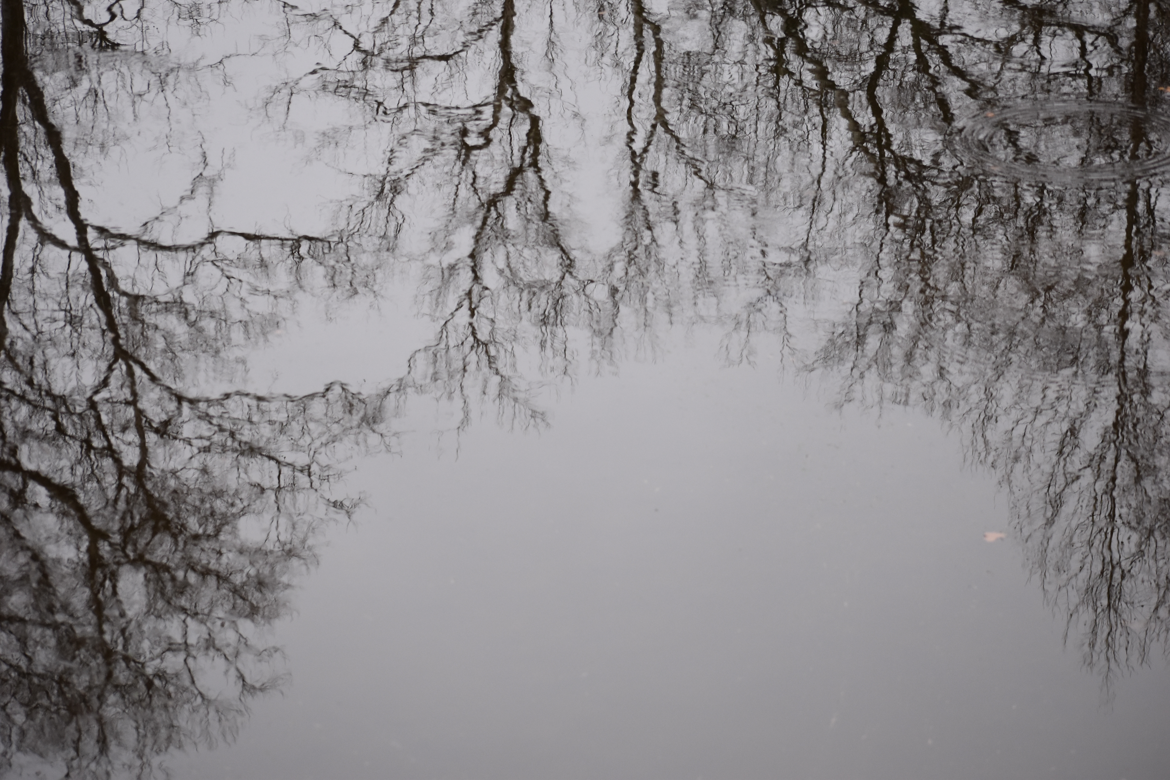 Untitled, 2024, Nikon D3500, Harper's Ferry West VA