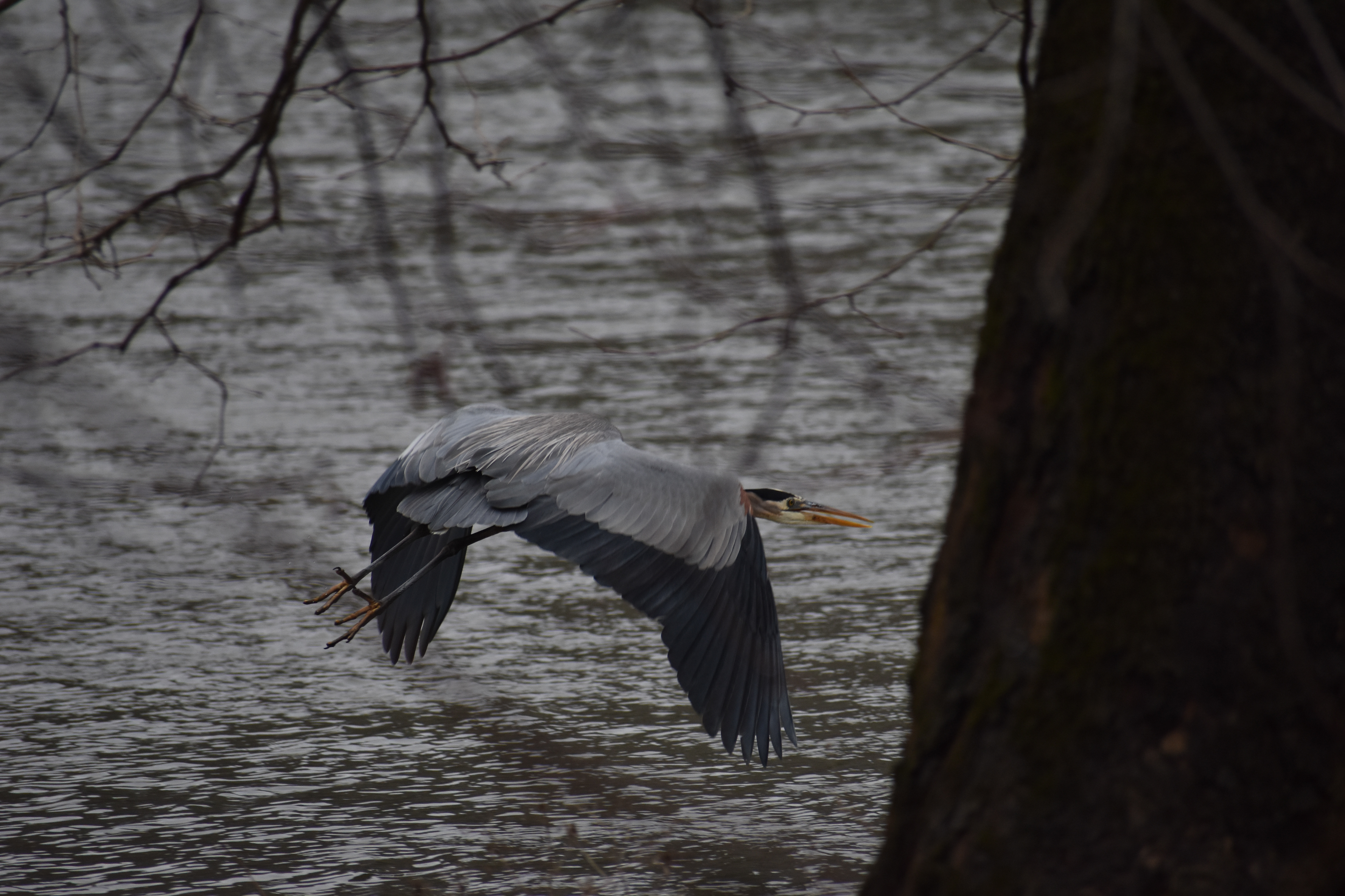 Untitled, 2024, Nikon D3500, Harper's Ferry West Virginia