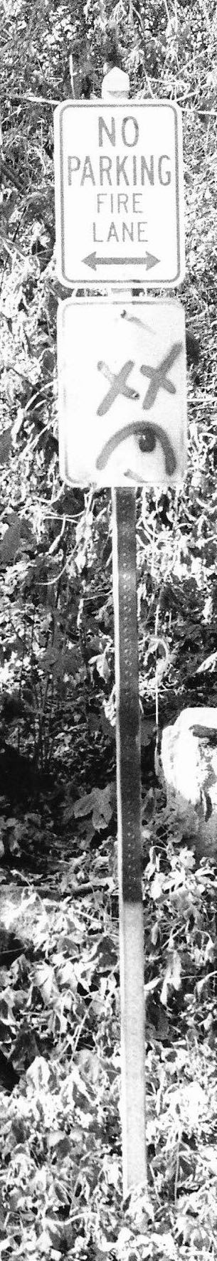 Untitled, 2021, Black & White Film camera, Ellicott City MD