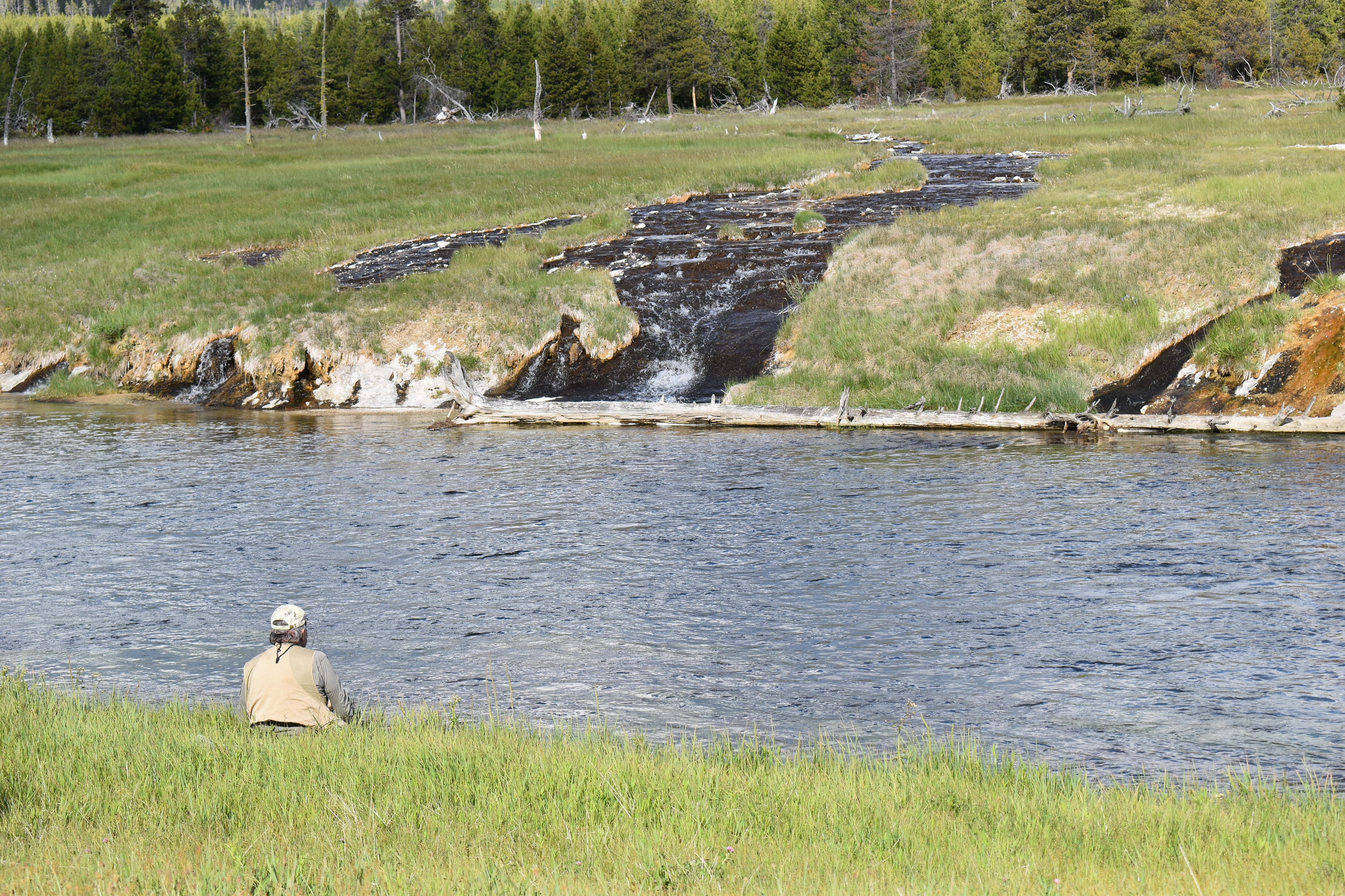 Untitled, 2024, Nikon D3500, Yellowstone