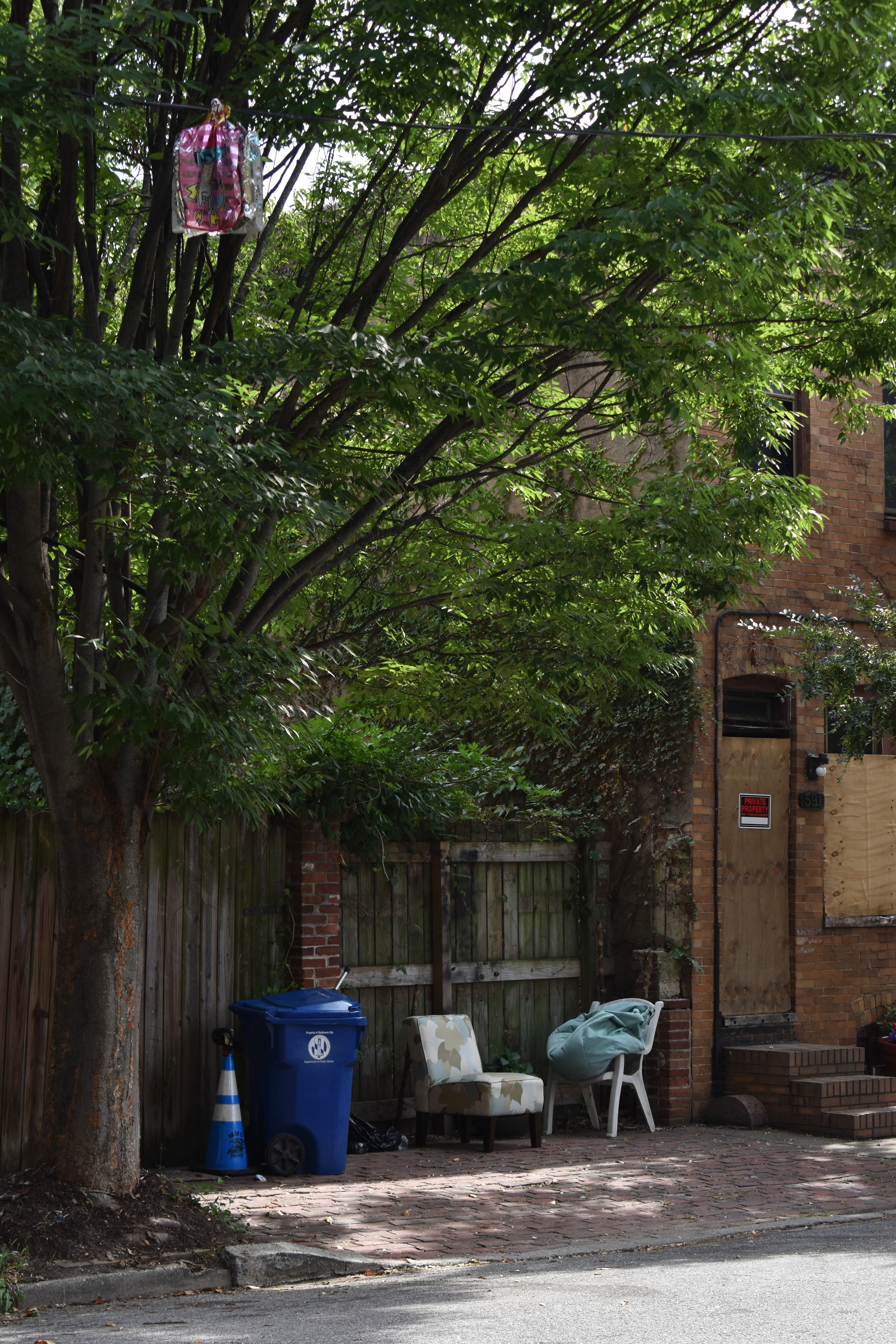 Untitled, 2024, Nikon D3500, Baltimore MD