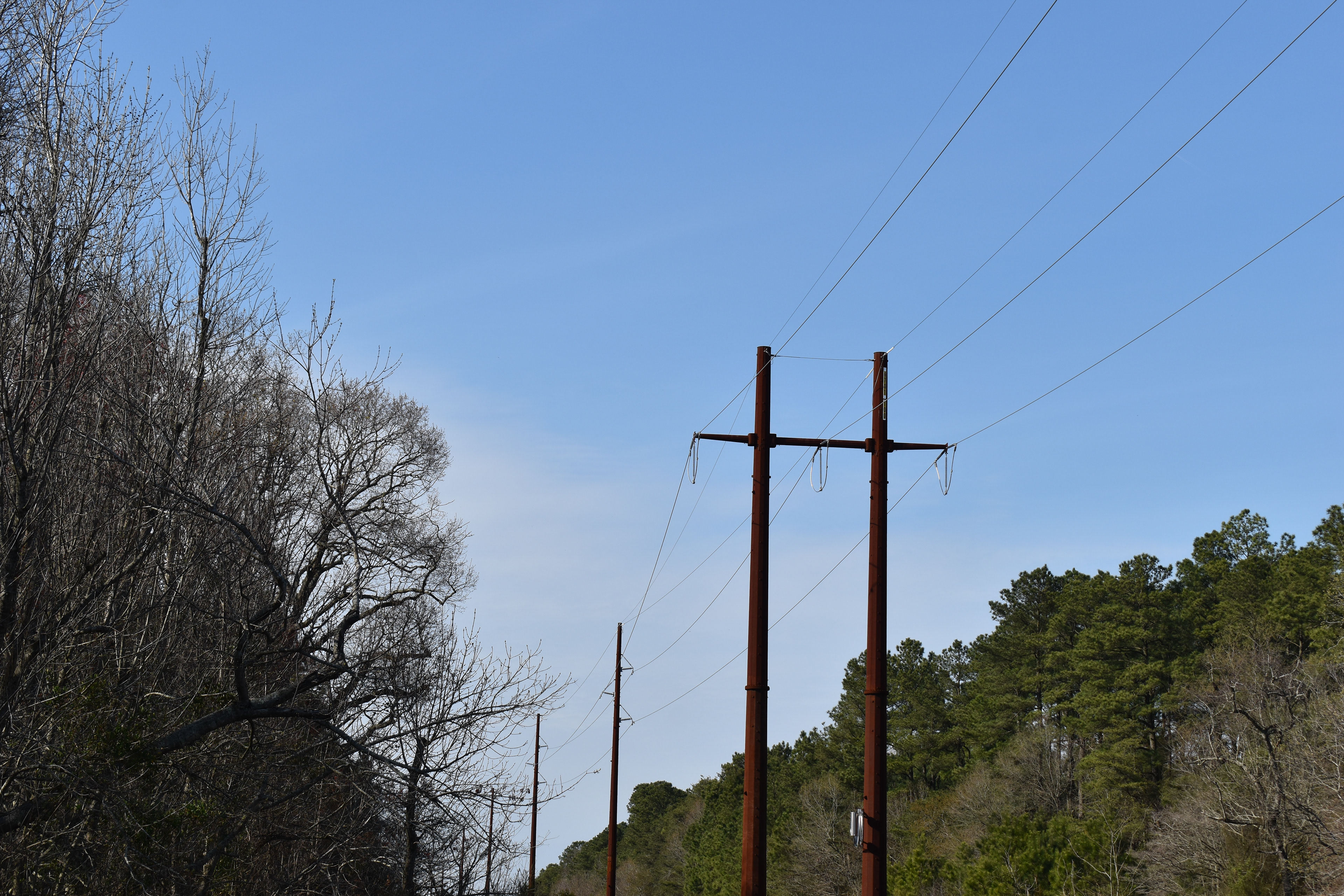 Untitled, 2019, Nikon D3500, Pemberton Historical Park Salisbury MD