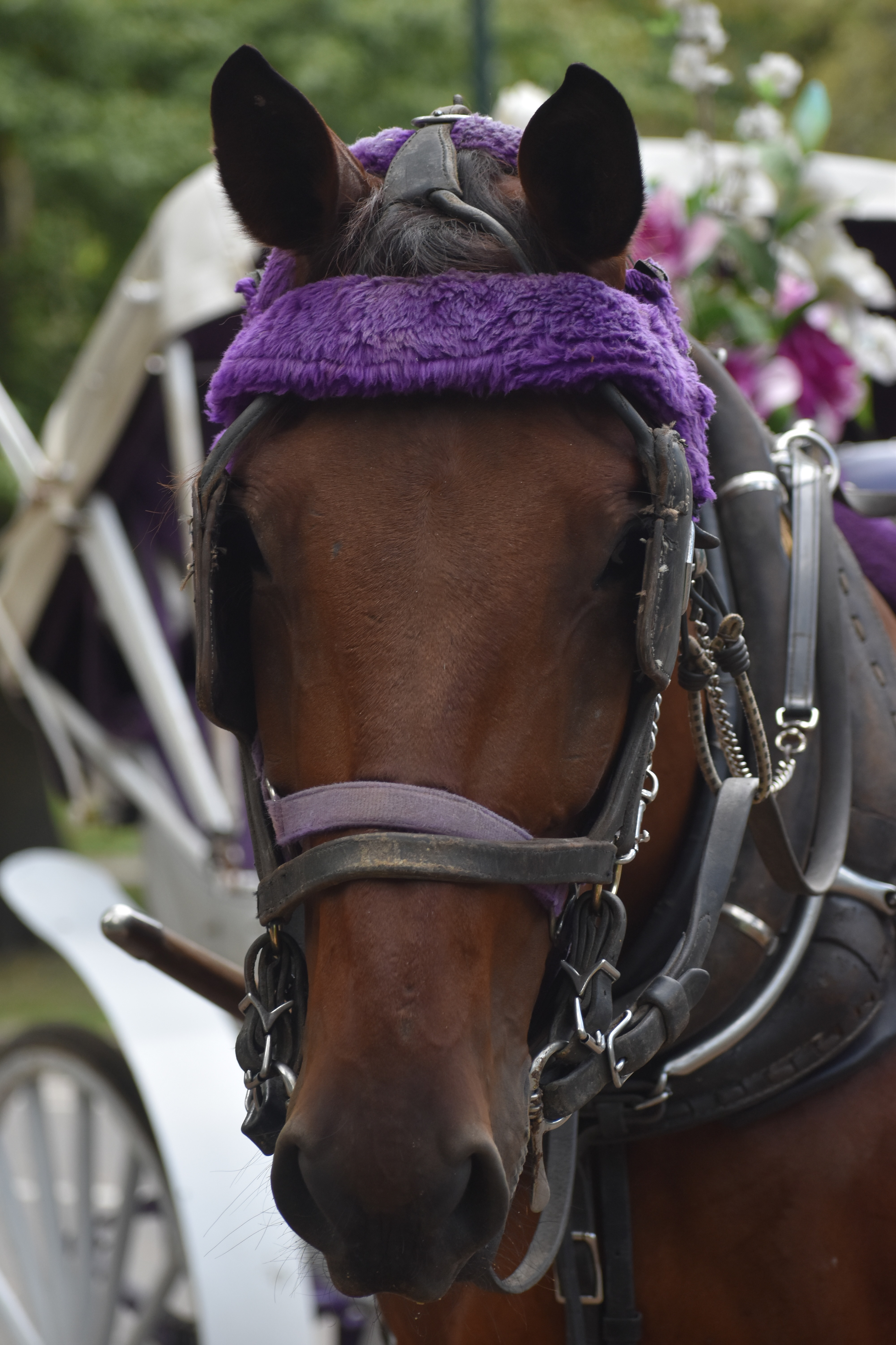 Untitled, 2019, Nikon D3500, New York 