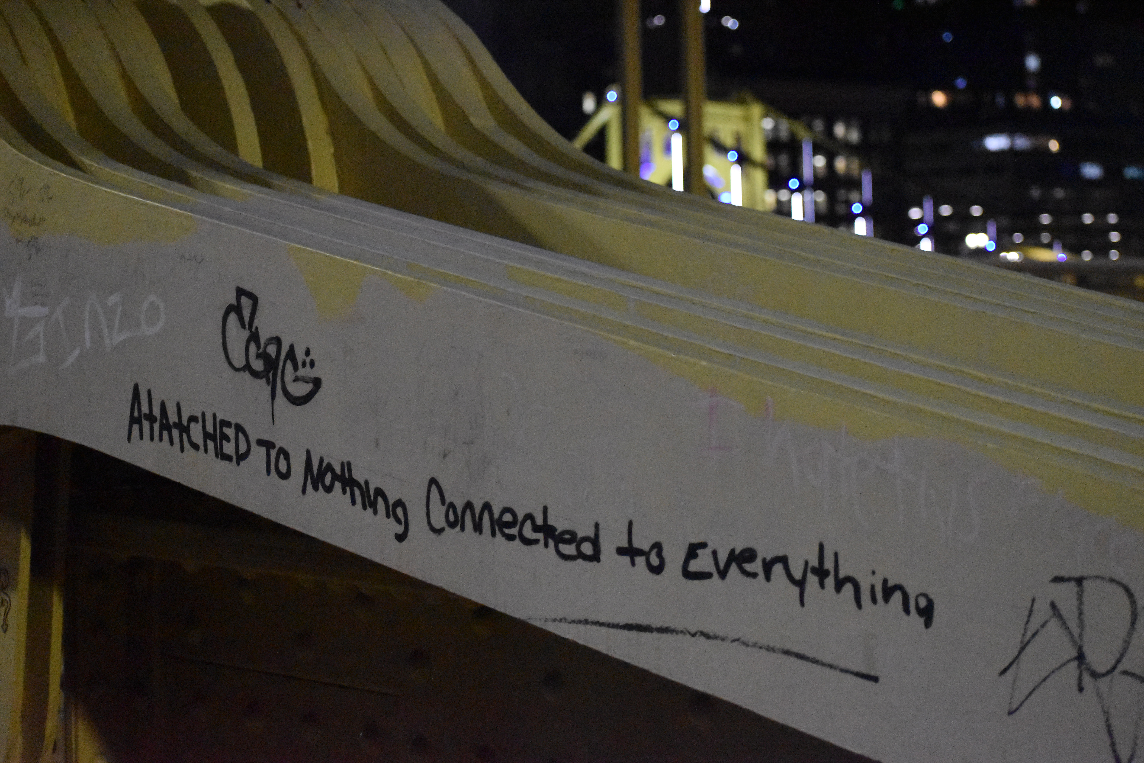 Attached to Nothing Connected to Everything, 2024, Nikon D3500, Pittsburgh Pennsylvania