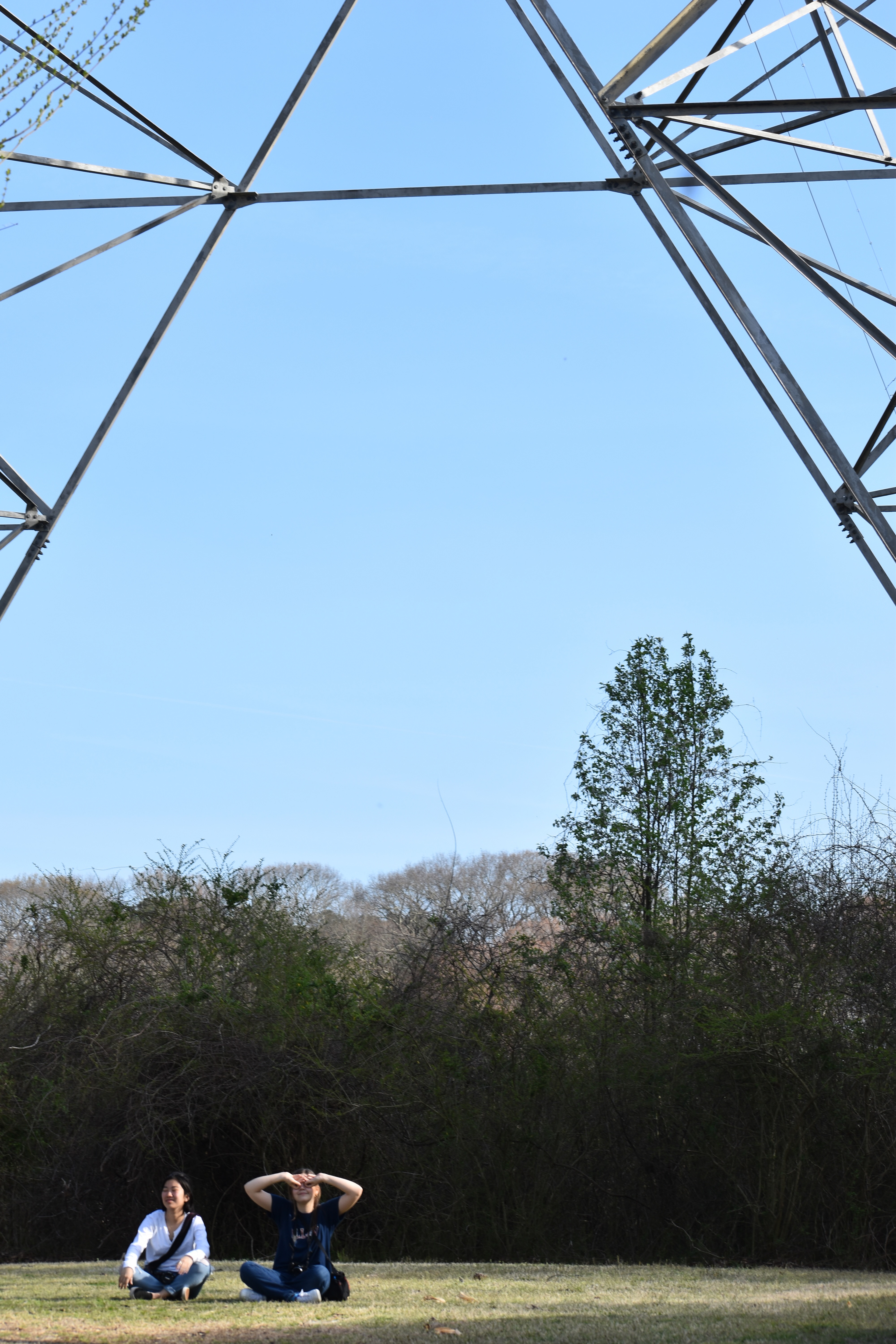 Untitled, 2019, Nikon D3500, Pemberton Historical Park Salisbury MD