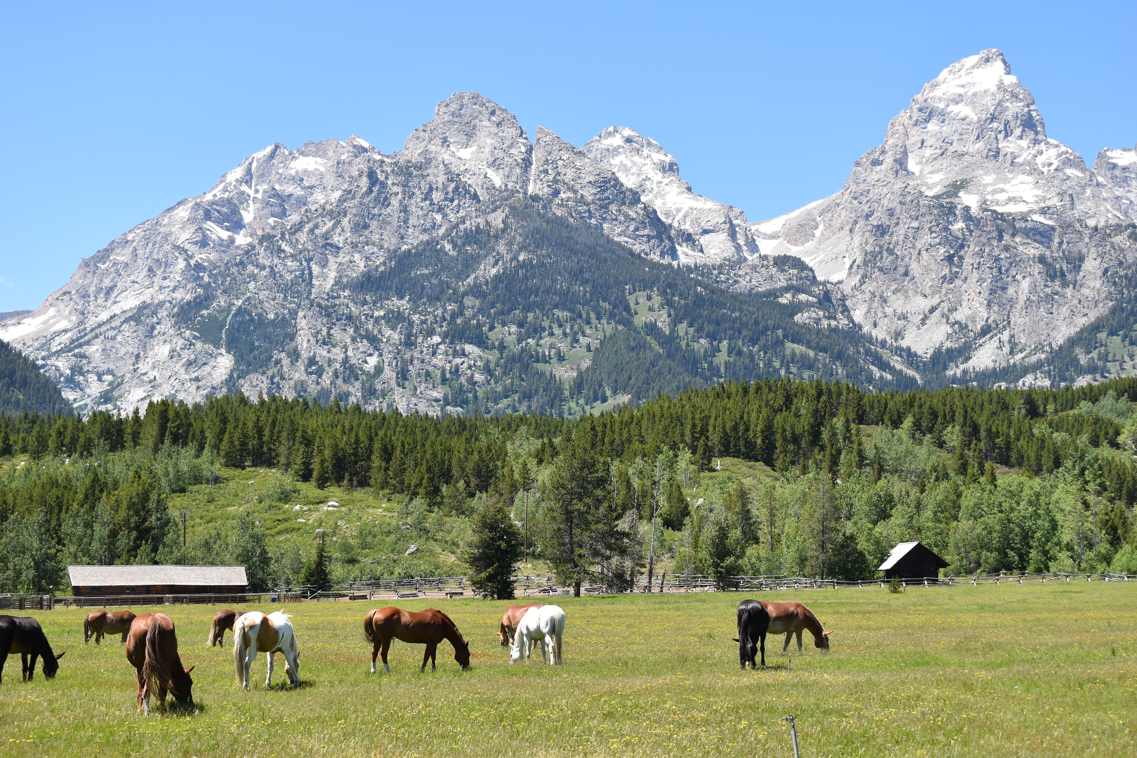Untitled, 2024, Nikon D3500, Grand Teton in Montana 