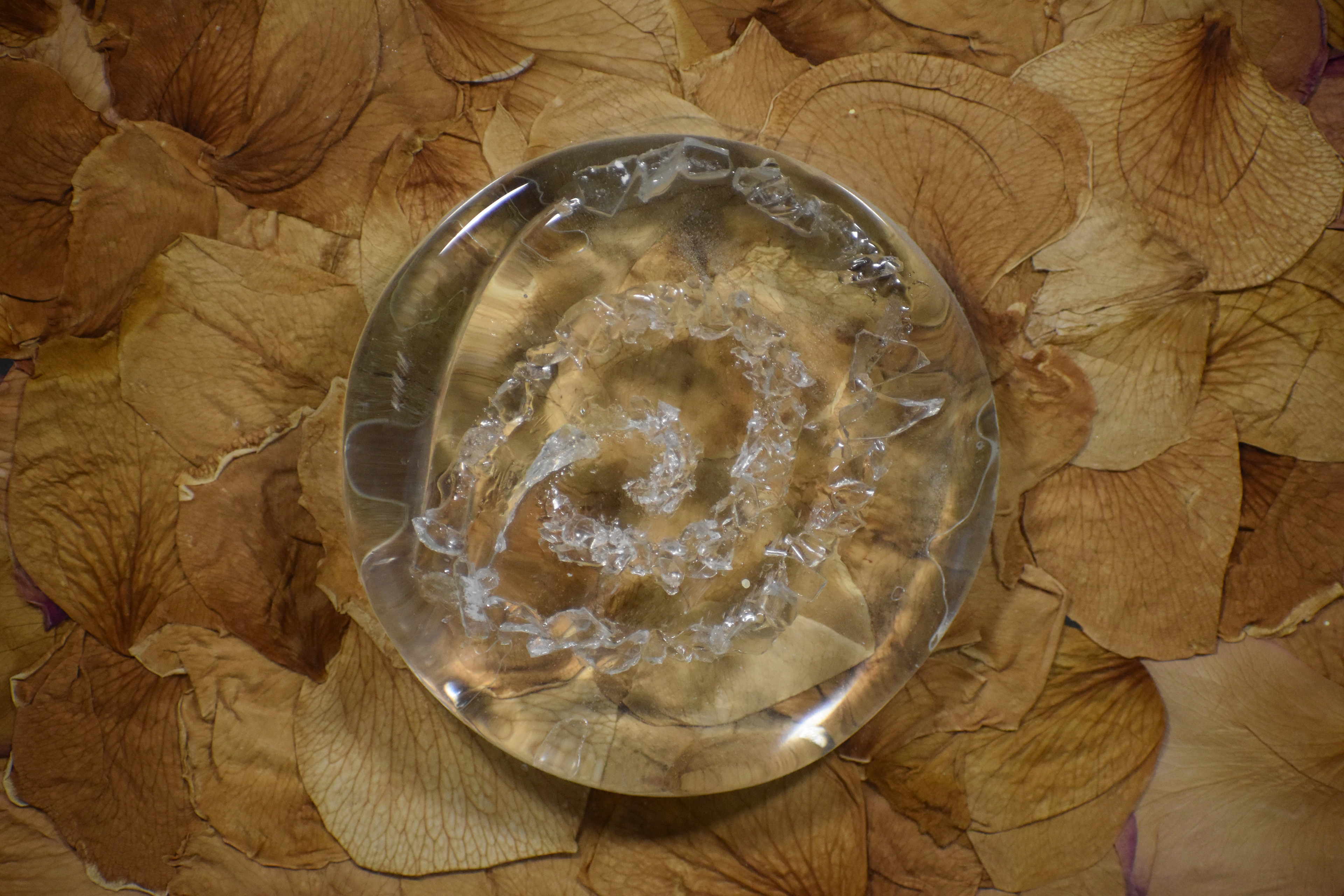 Untitled, 2019, Glass, roses given to me saying sorry I cheated, Salisbury University MD