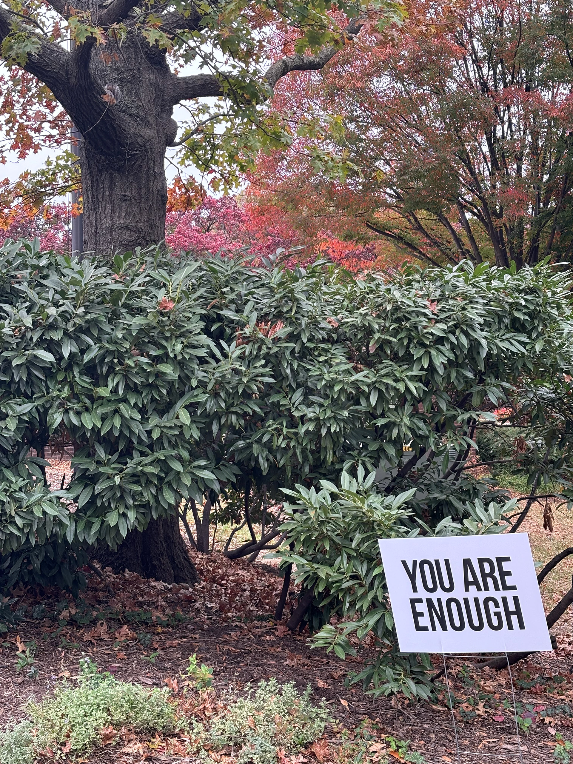 YOU ARE ENOUGH, 2025, IPhone, MICA Campus in Baltimore City MD