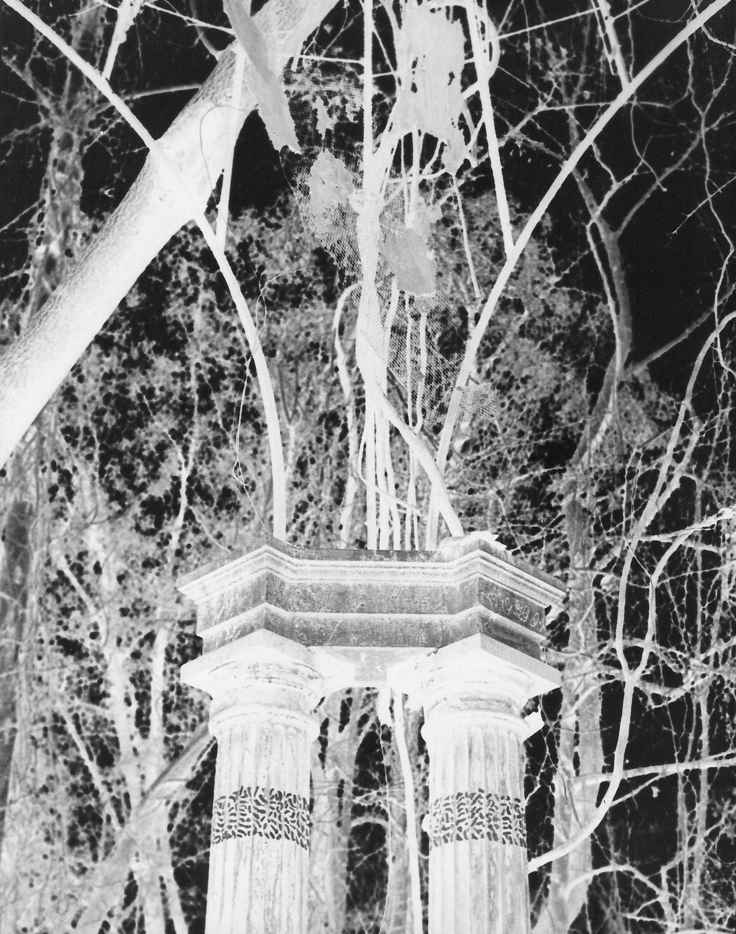 Untitled, 2021, Black & White Film camera, Ellicott City MD