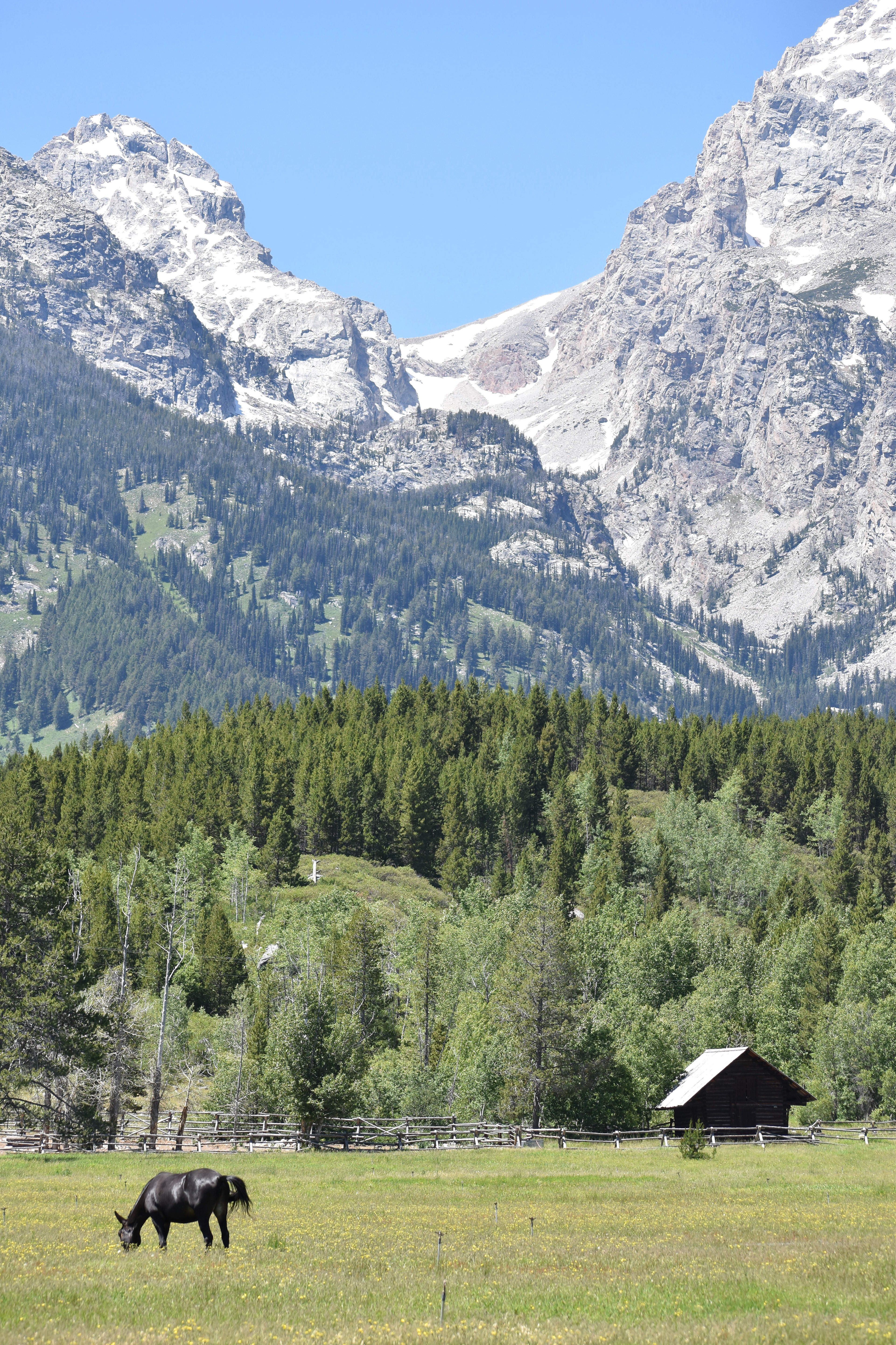 Untitled, 2024, Nikon D3500, Grand Teton in Montana 
