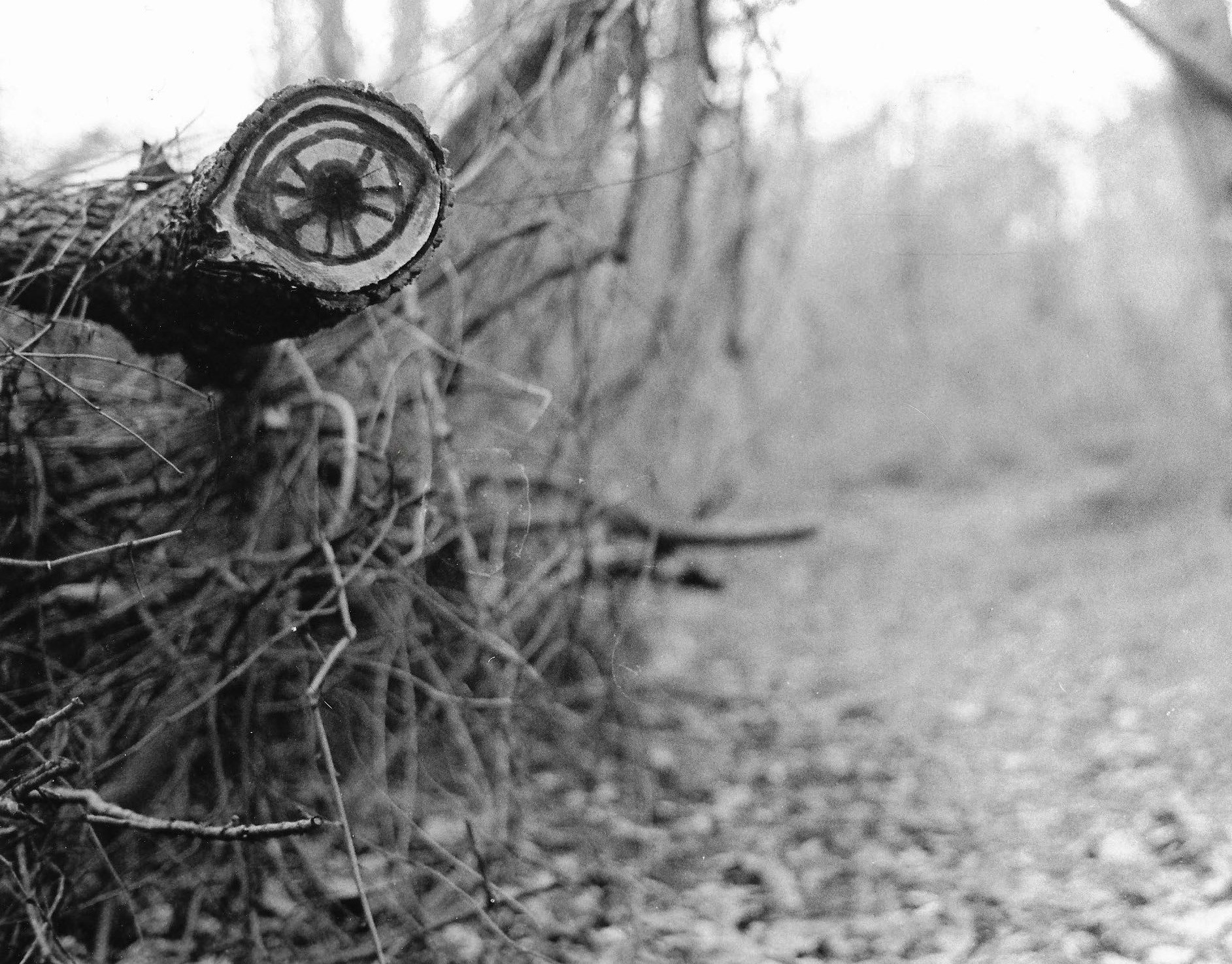 Untitled, 2021, Black & White Film camera, Ellicott City MD