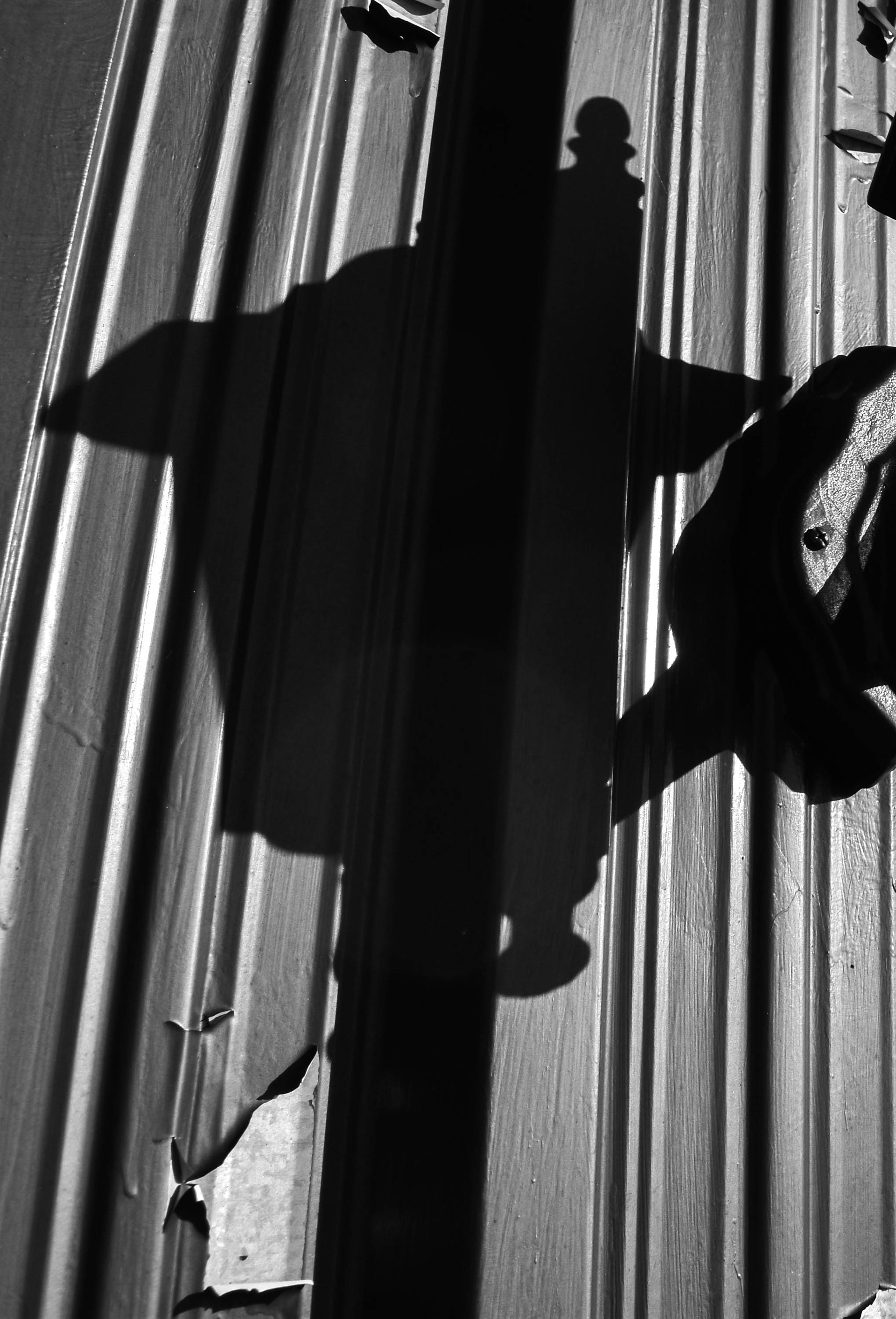 Untitled, 2019, Nikon D3500, Eastern Shore MD