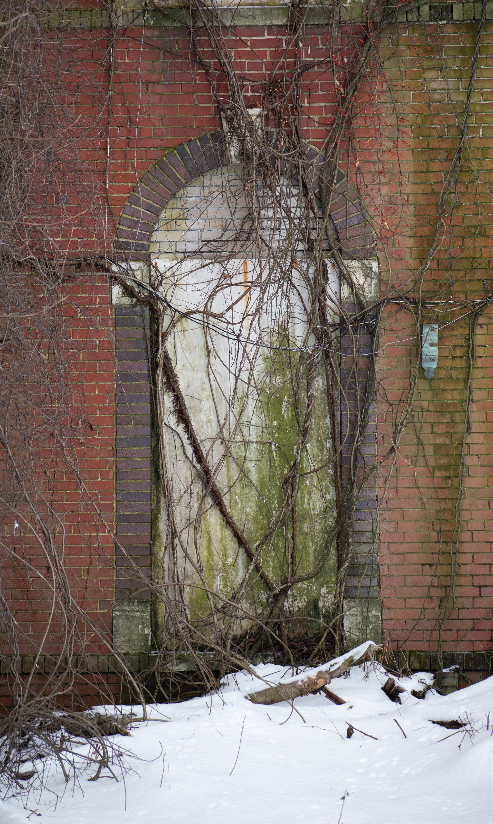Untitled, 2025, Nikon D3500, DeJarnette Sanitarium in Staunton Virginia