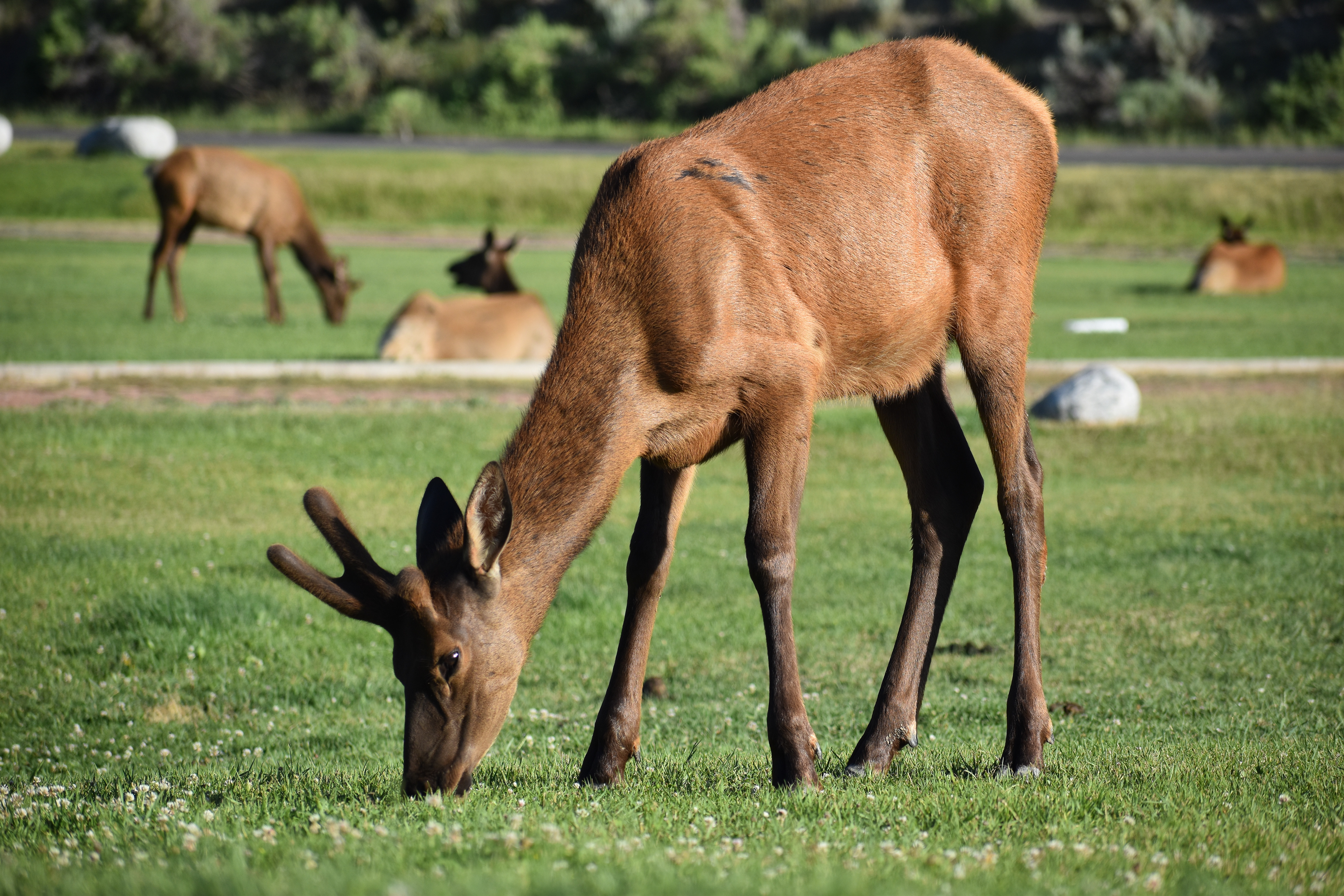 Untitled, 2024, Nikon D3500, Montana