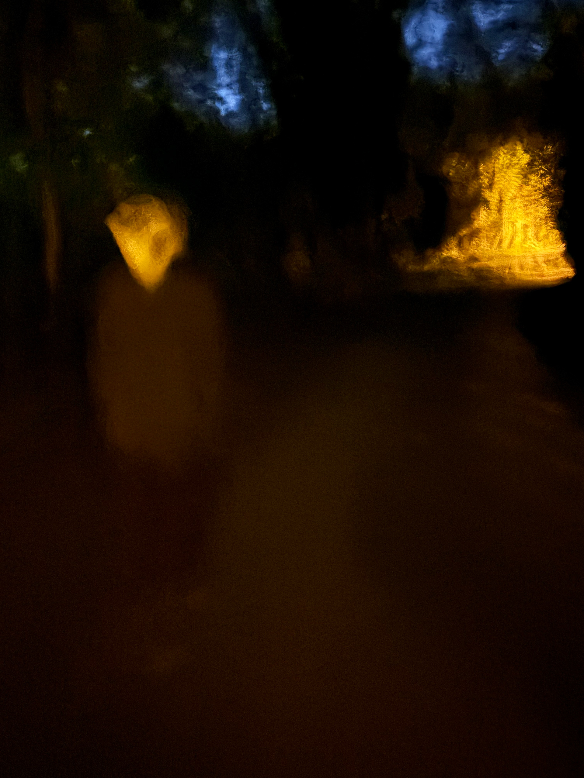 Untitled, 2024, IPhone, Potapsco Valley State Park