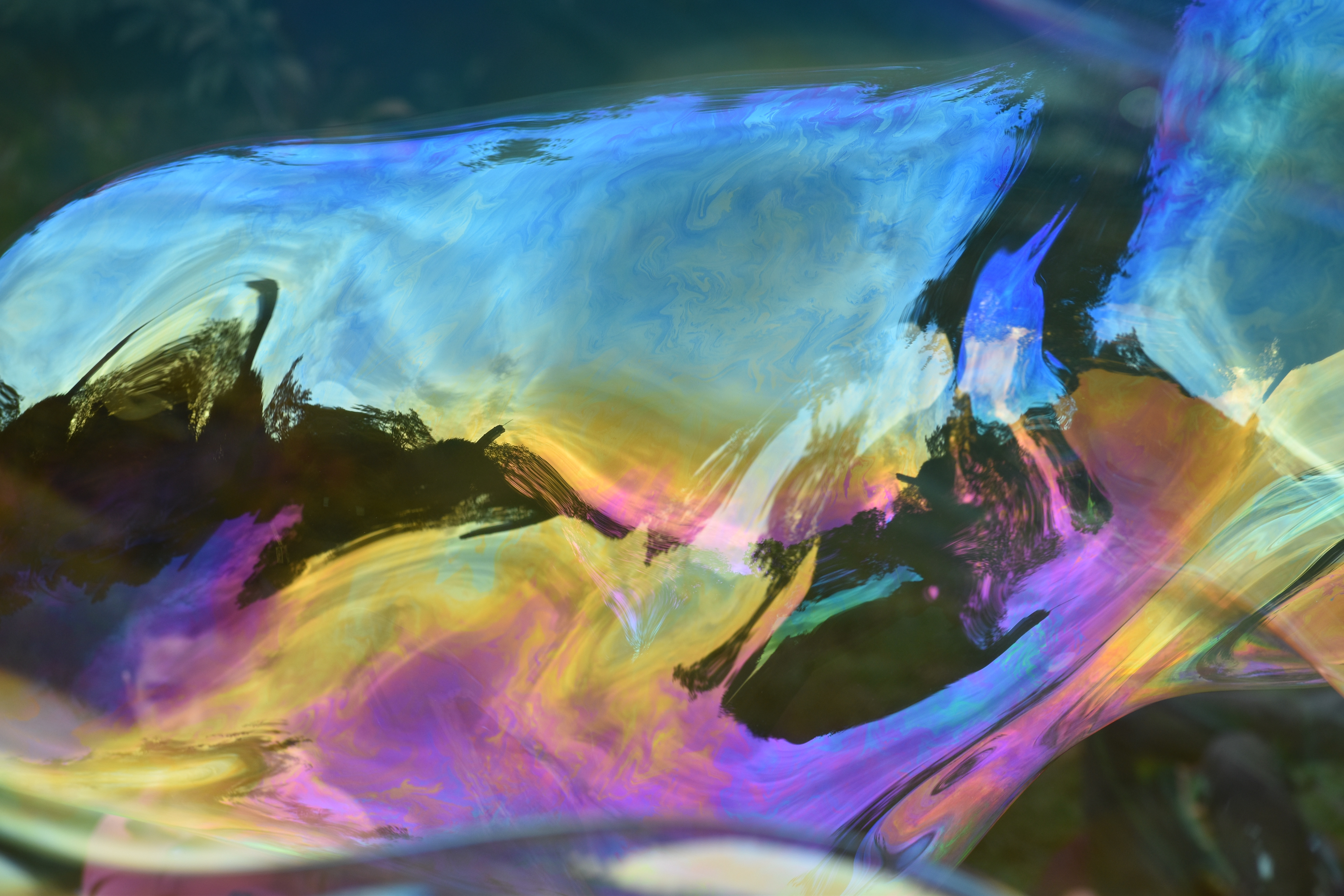 Untitled, 2019, Nikon D3500, New York