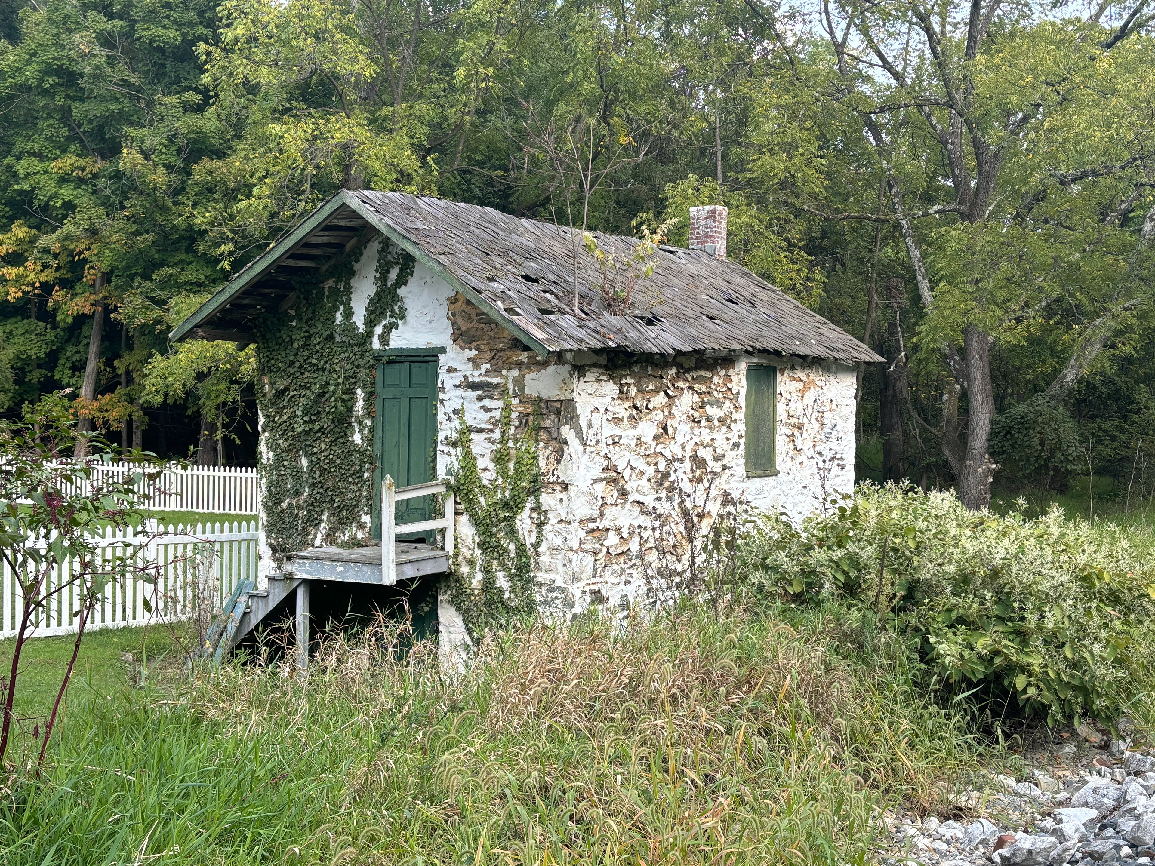 Untitled, 2024, Nikon D3500, Reistertown MD