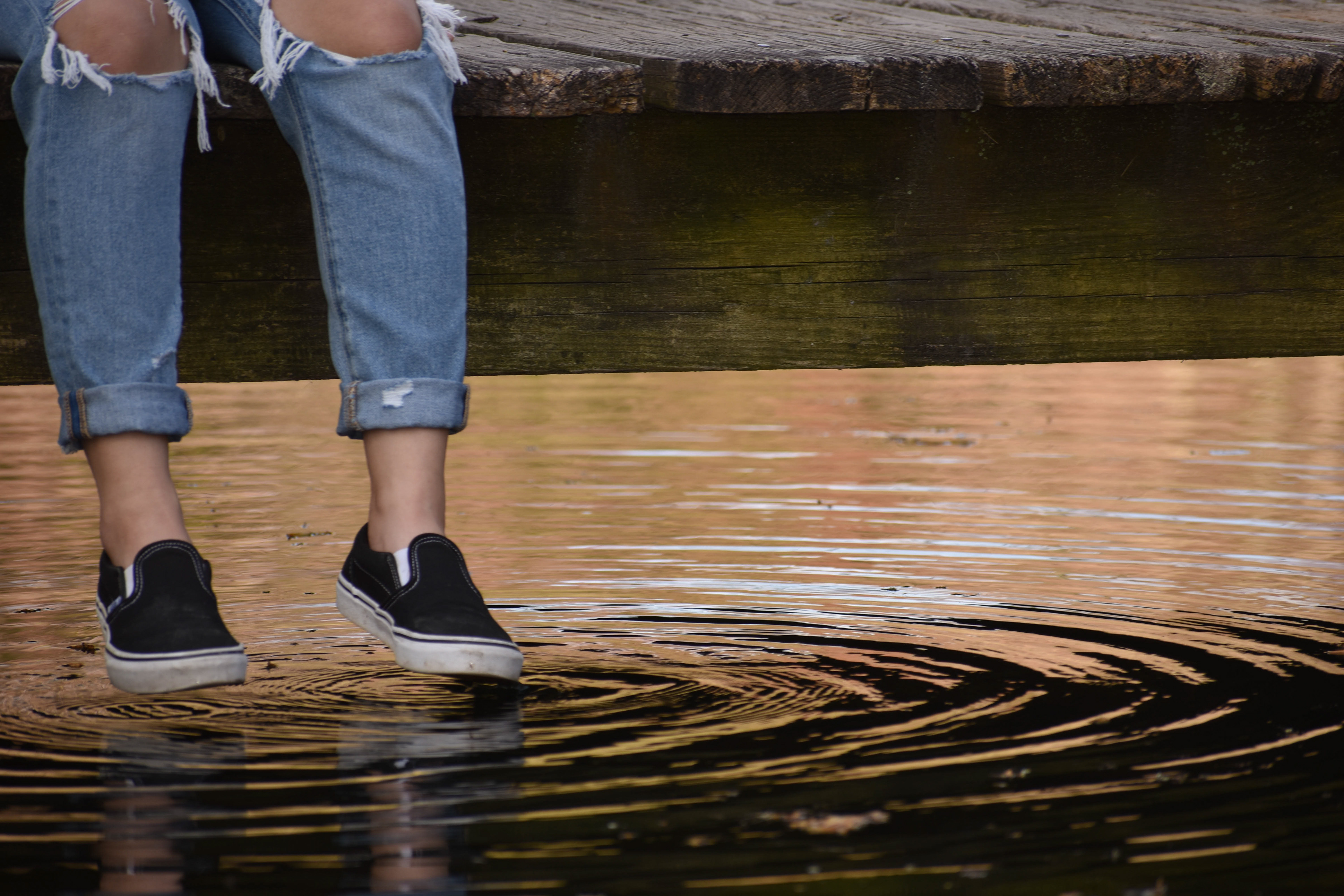 Untitled, 2019, Nikon D3500, Pemberton Historical Park Salisbury MD