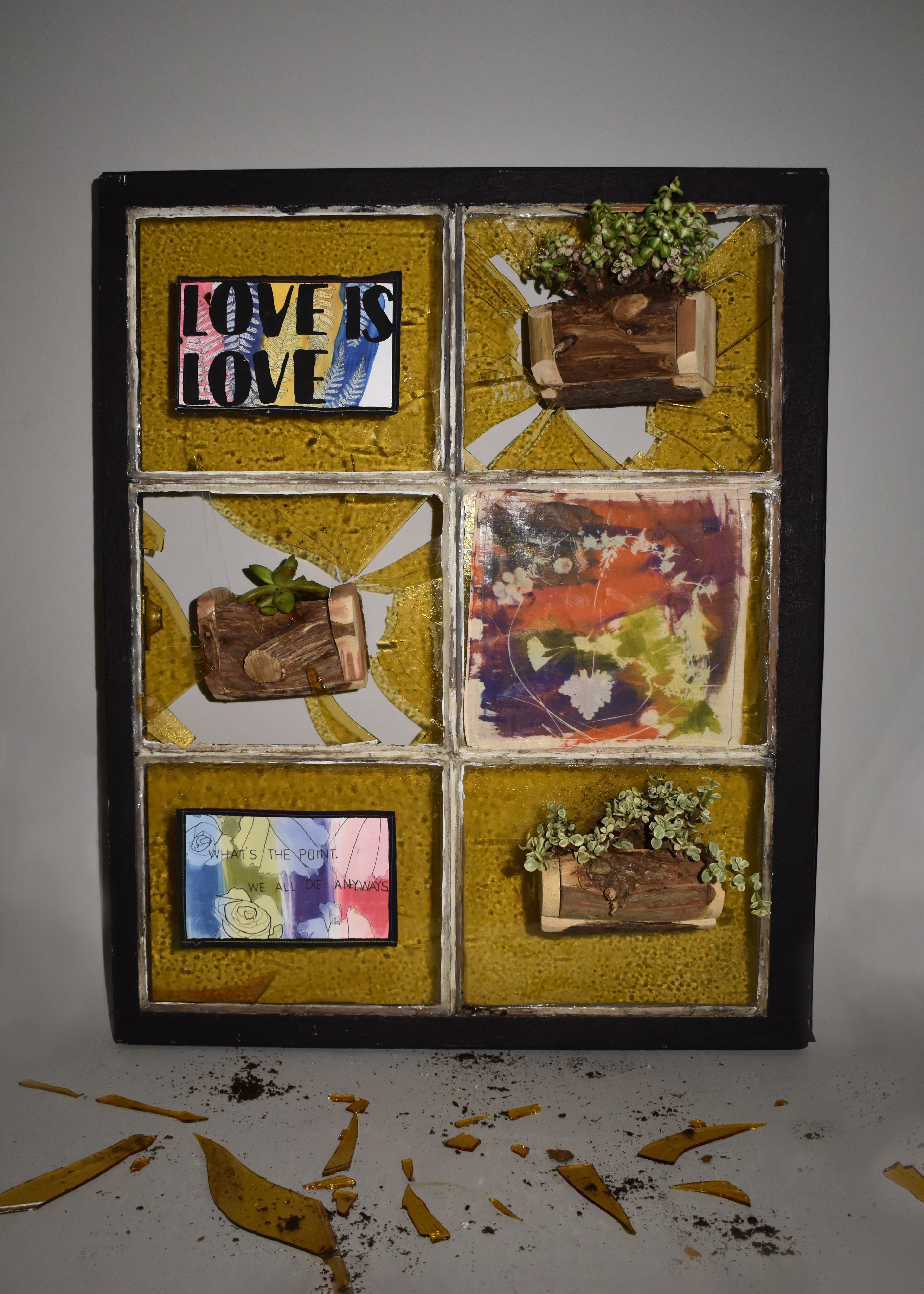 Please, Look in Front of You, 2022, Antique church window, cyanotype on paper, thread, acrylic, sharpie, wood, soil, succulent, Salisbury University