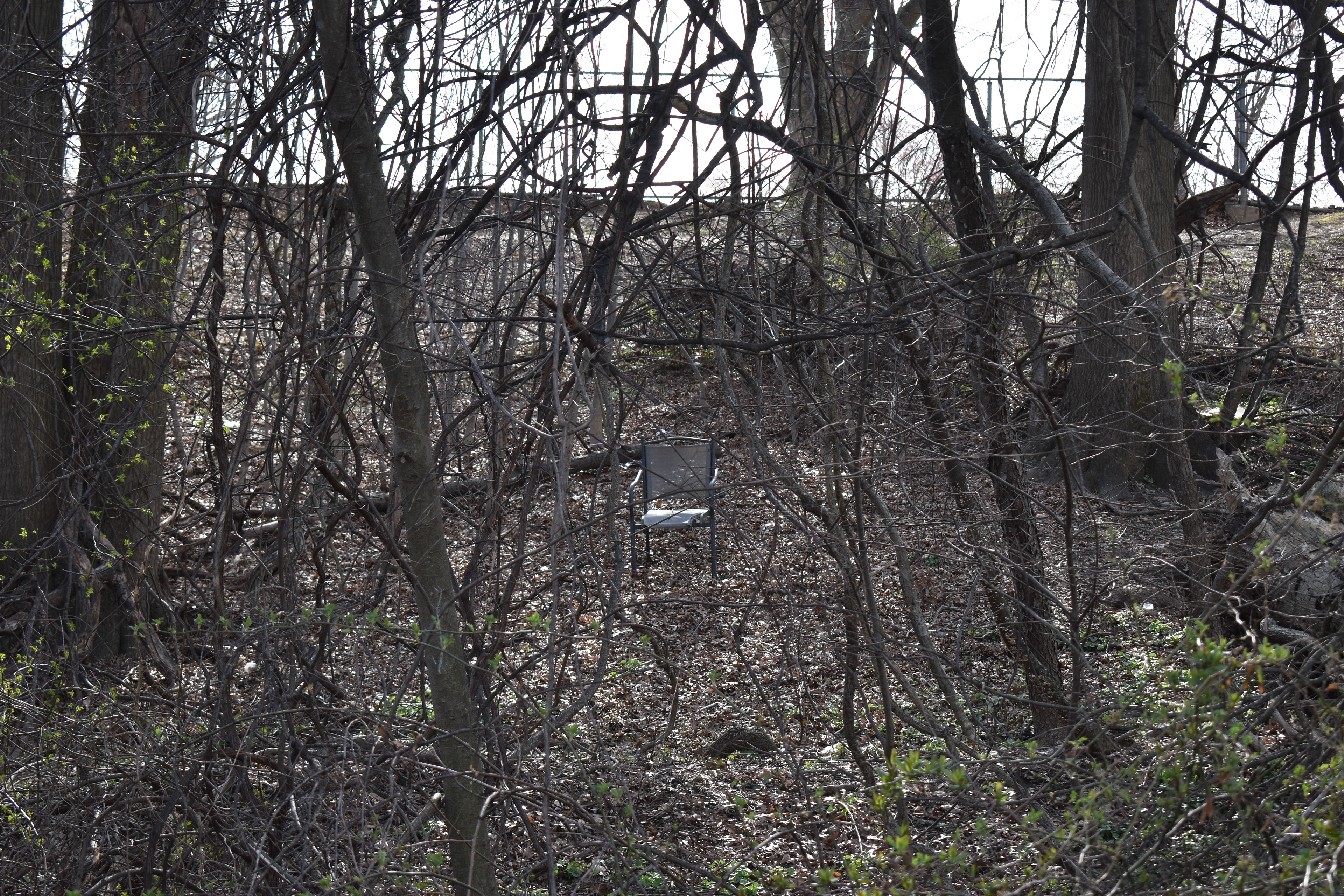 Untitled, 2025, Nikon D3500, Resitertown MD