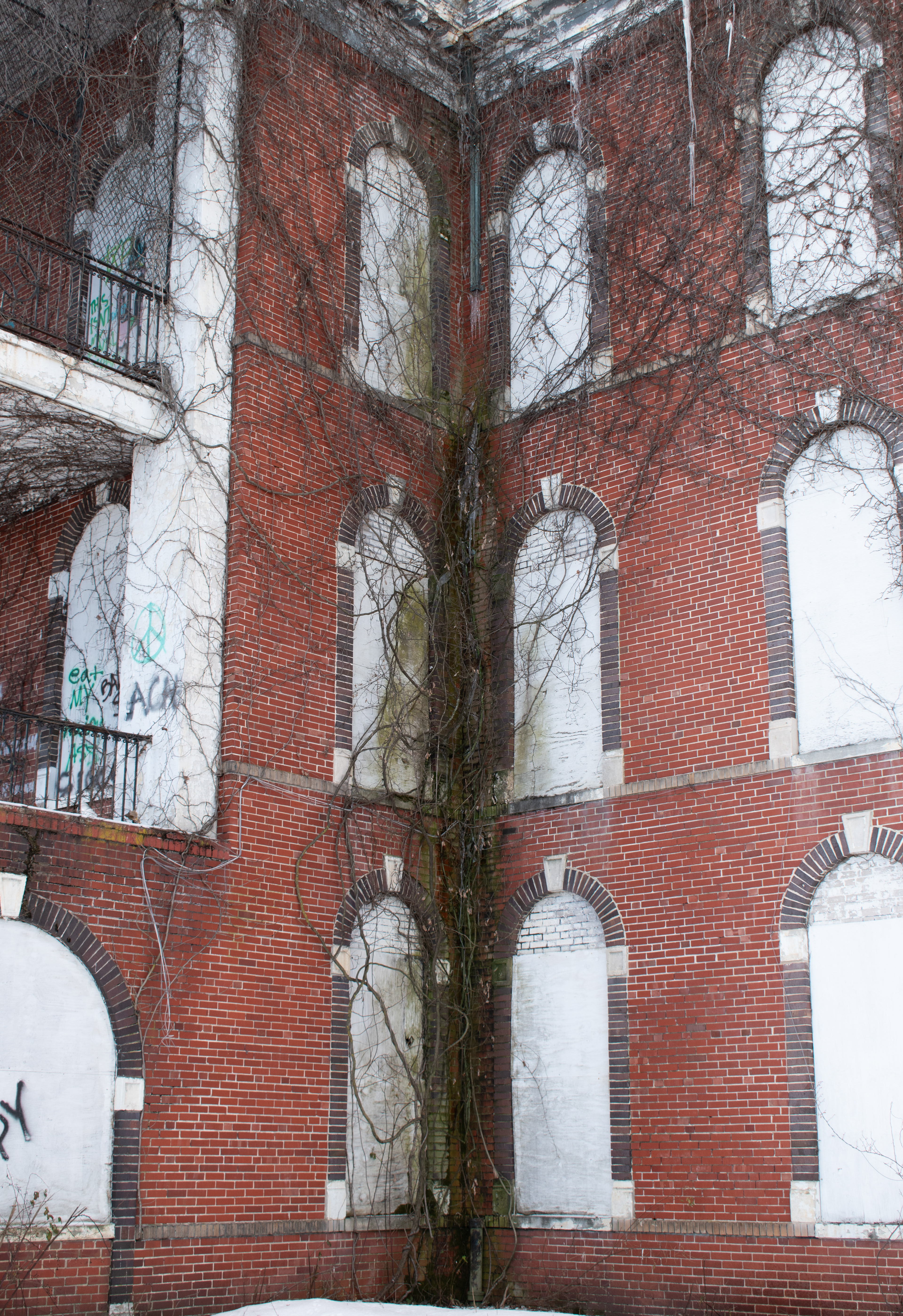 Untitled, 2025, Nikon D3500, DeJarnette Sanitarium in Staunton Virginia