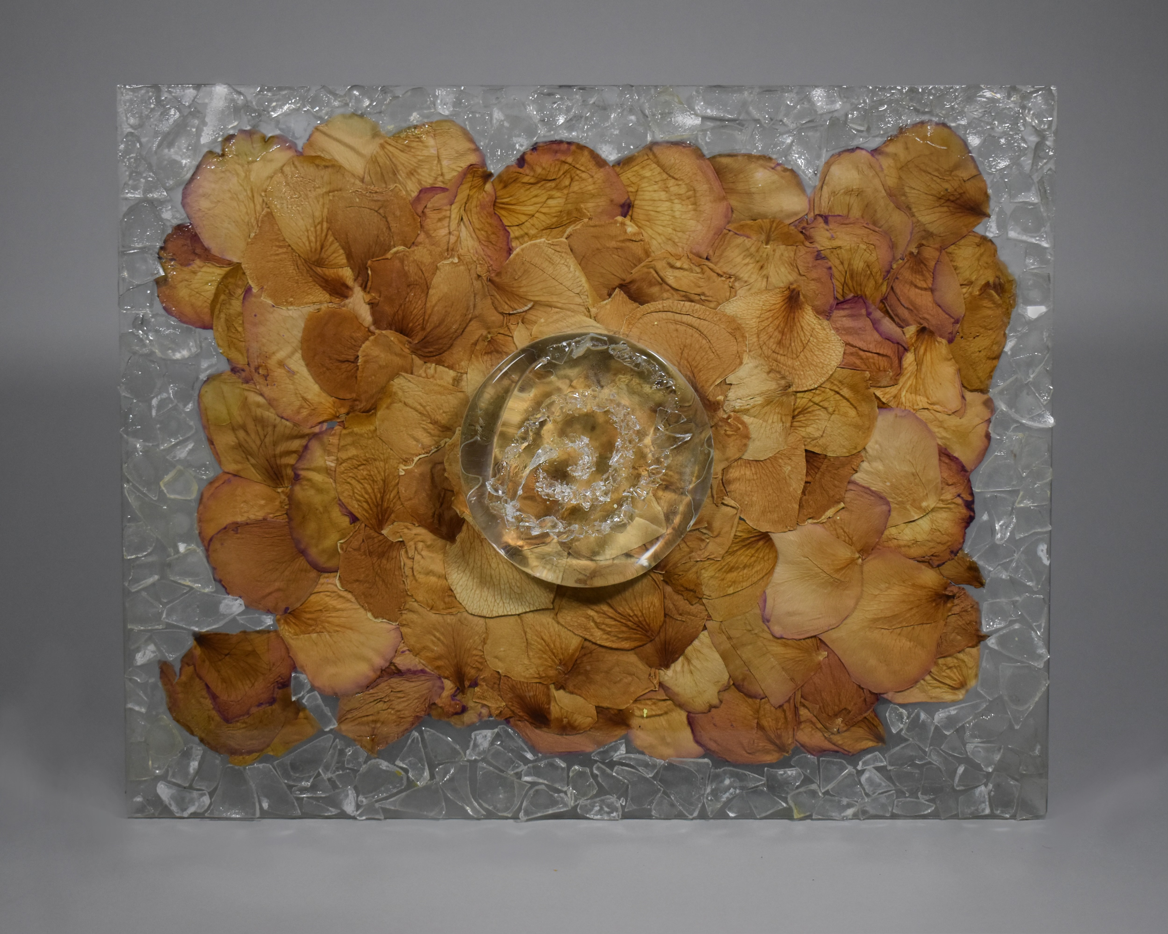 Untitled, 2019, Glass, roses given to me saying sorry I cheated, Salisbury University MD