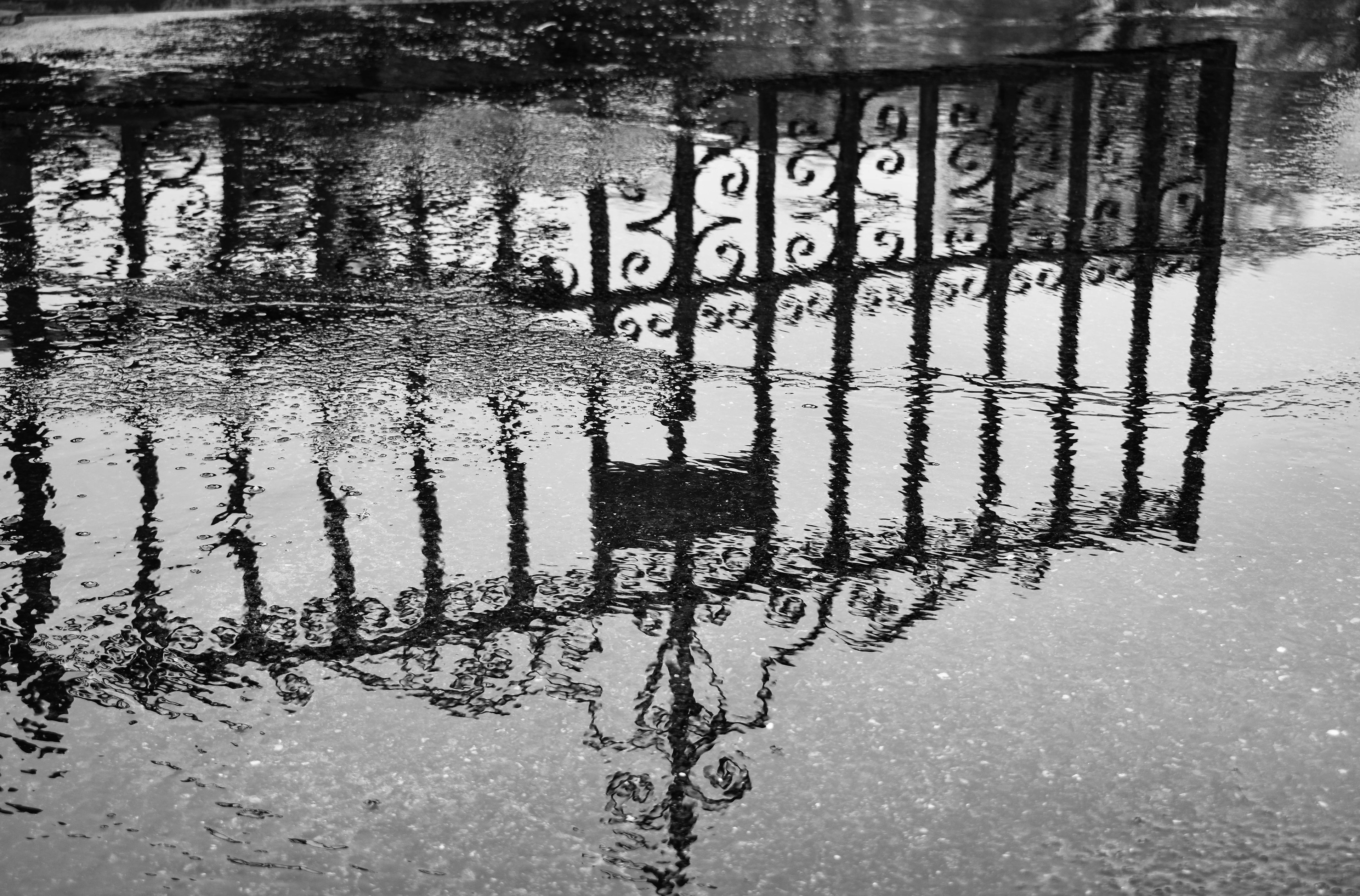 Untitled, 2019, Nikon D3500, Queenstown MD