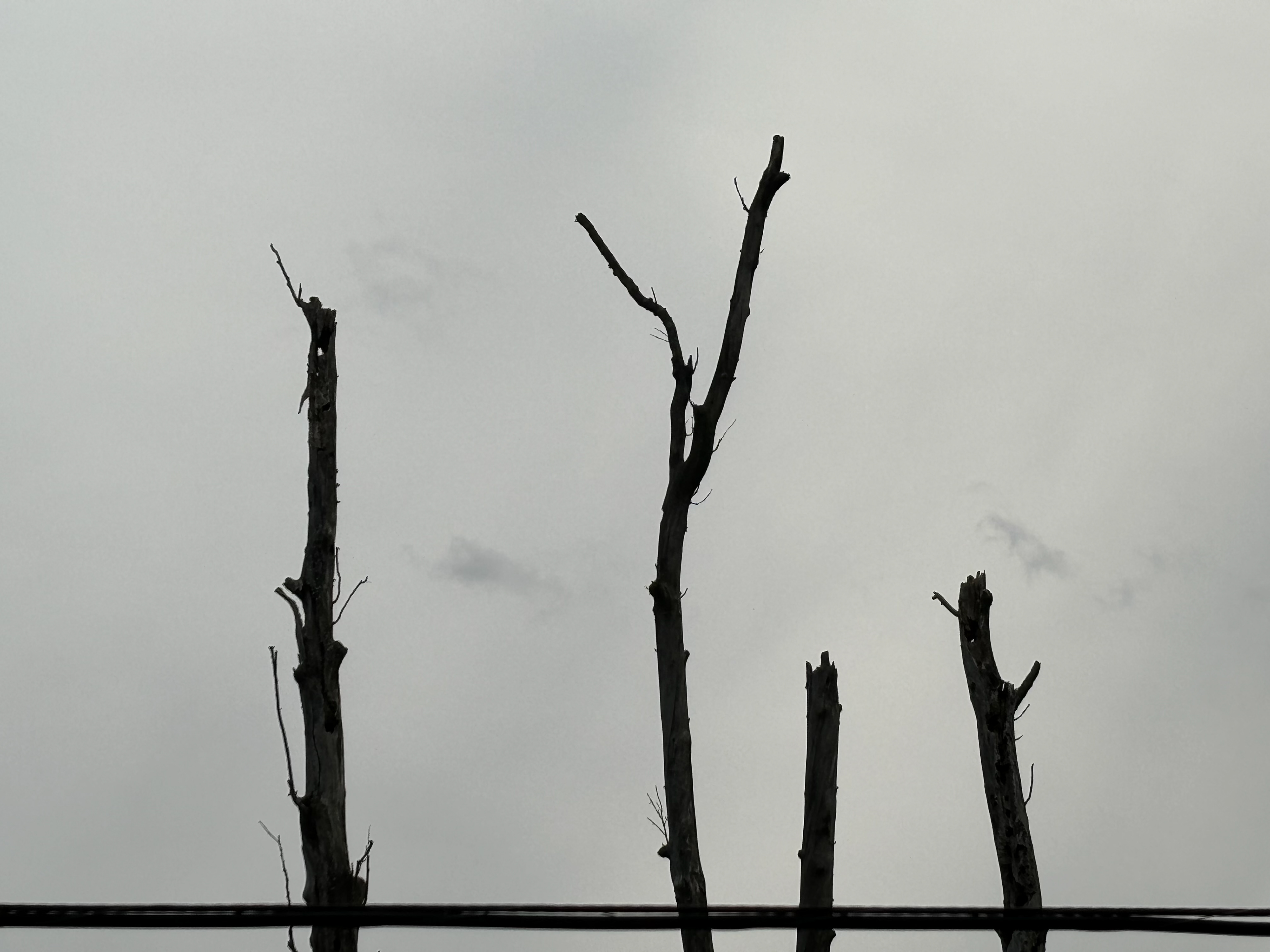 Untitled, 2025, Nikon D3500, Owings Mills