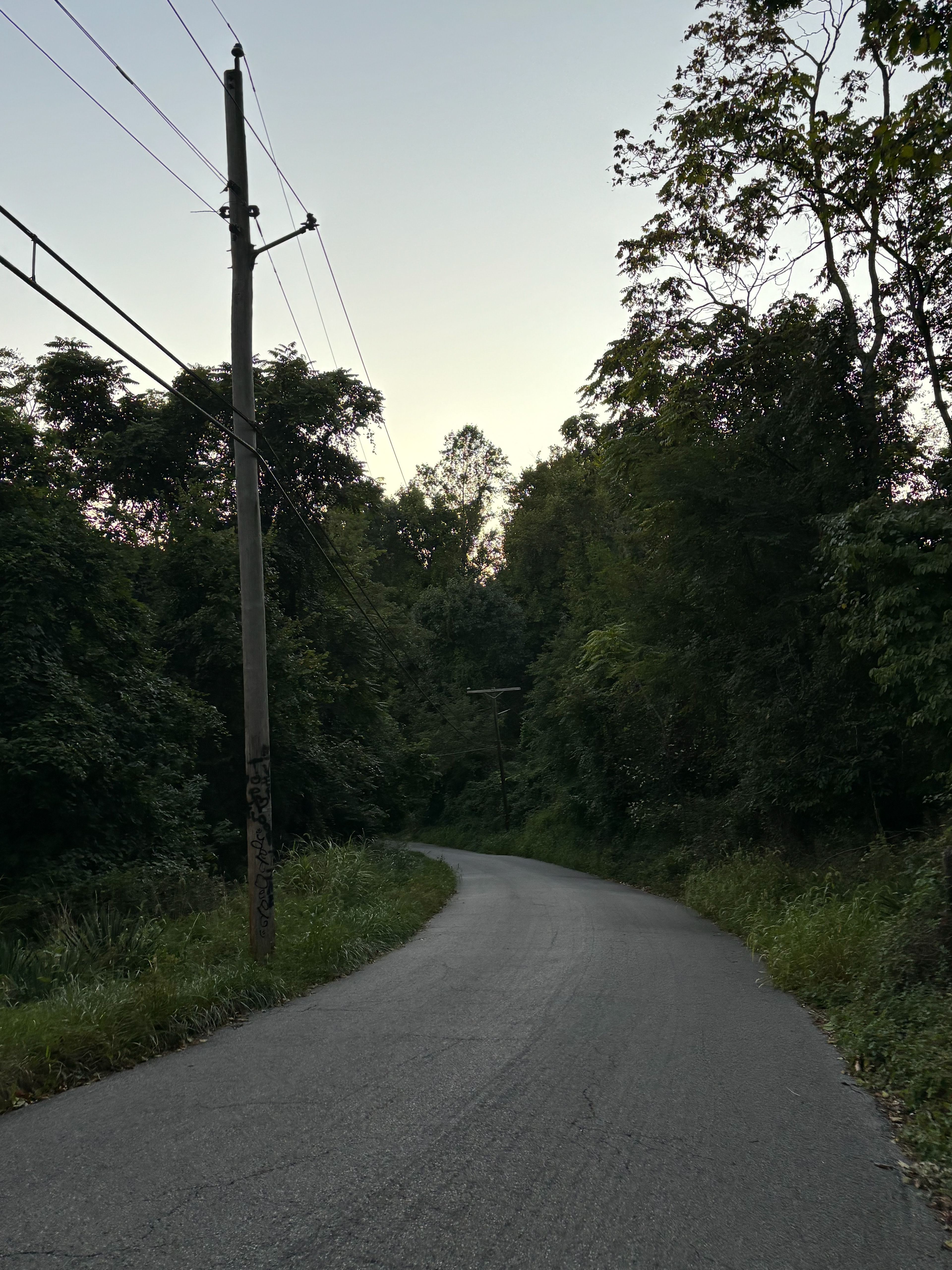 Untitled, 2024, IPhone, Potapsco Valley State Park