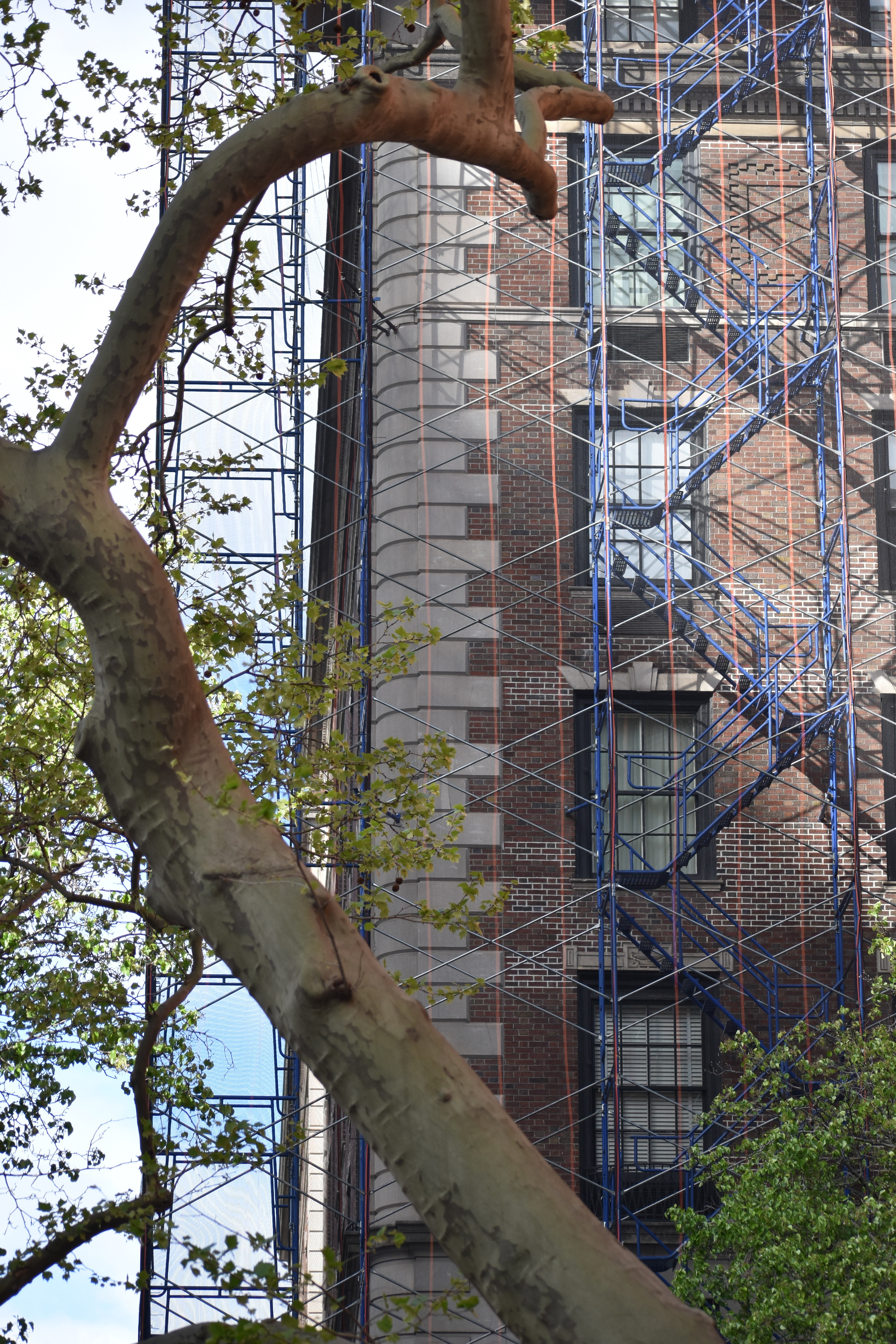 Untitled, 2025, Nikon D3500, New York