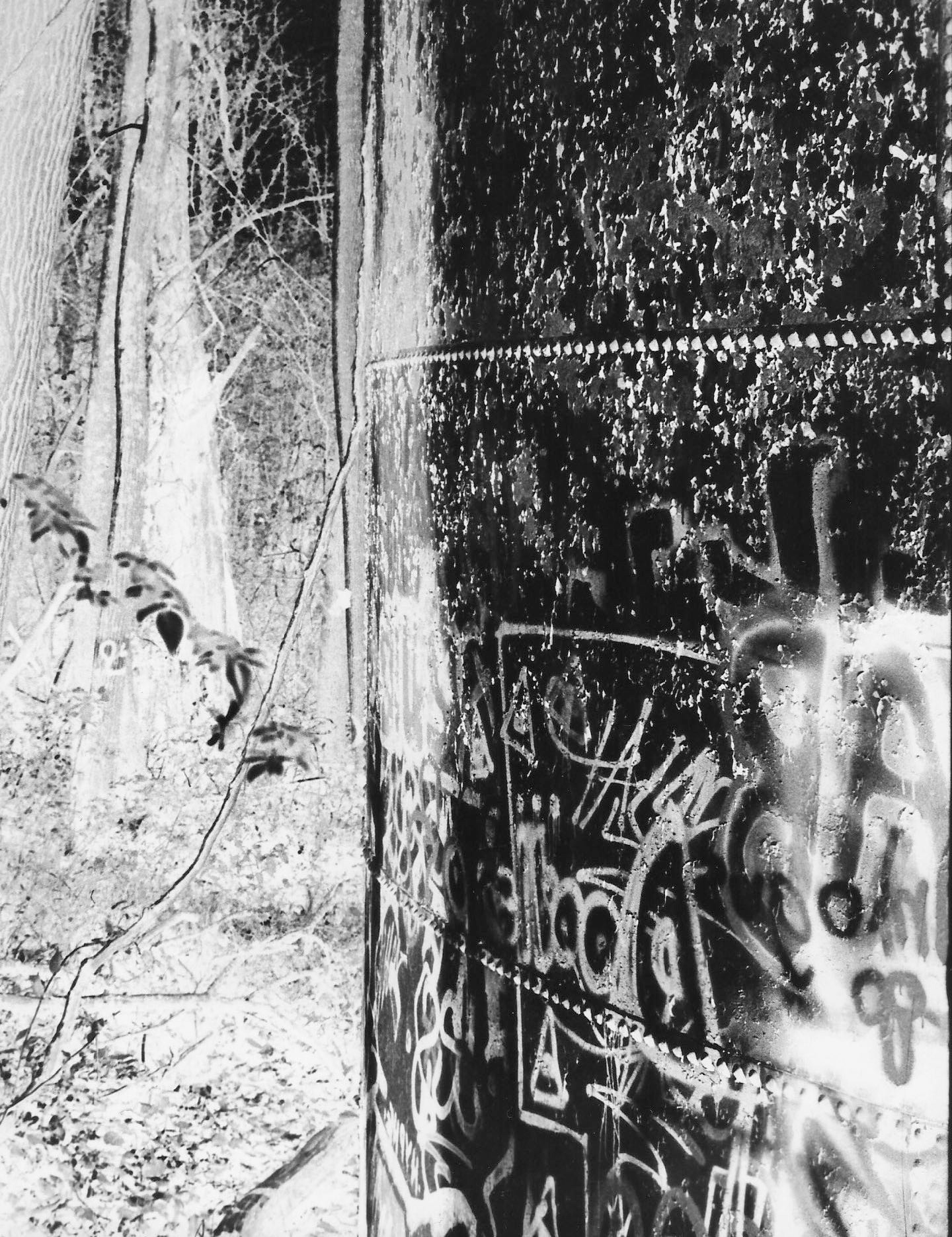 Untitled, 2021, Black & White Film camera, Ellicott City MD