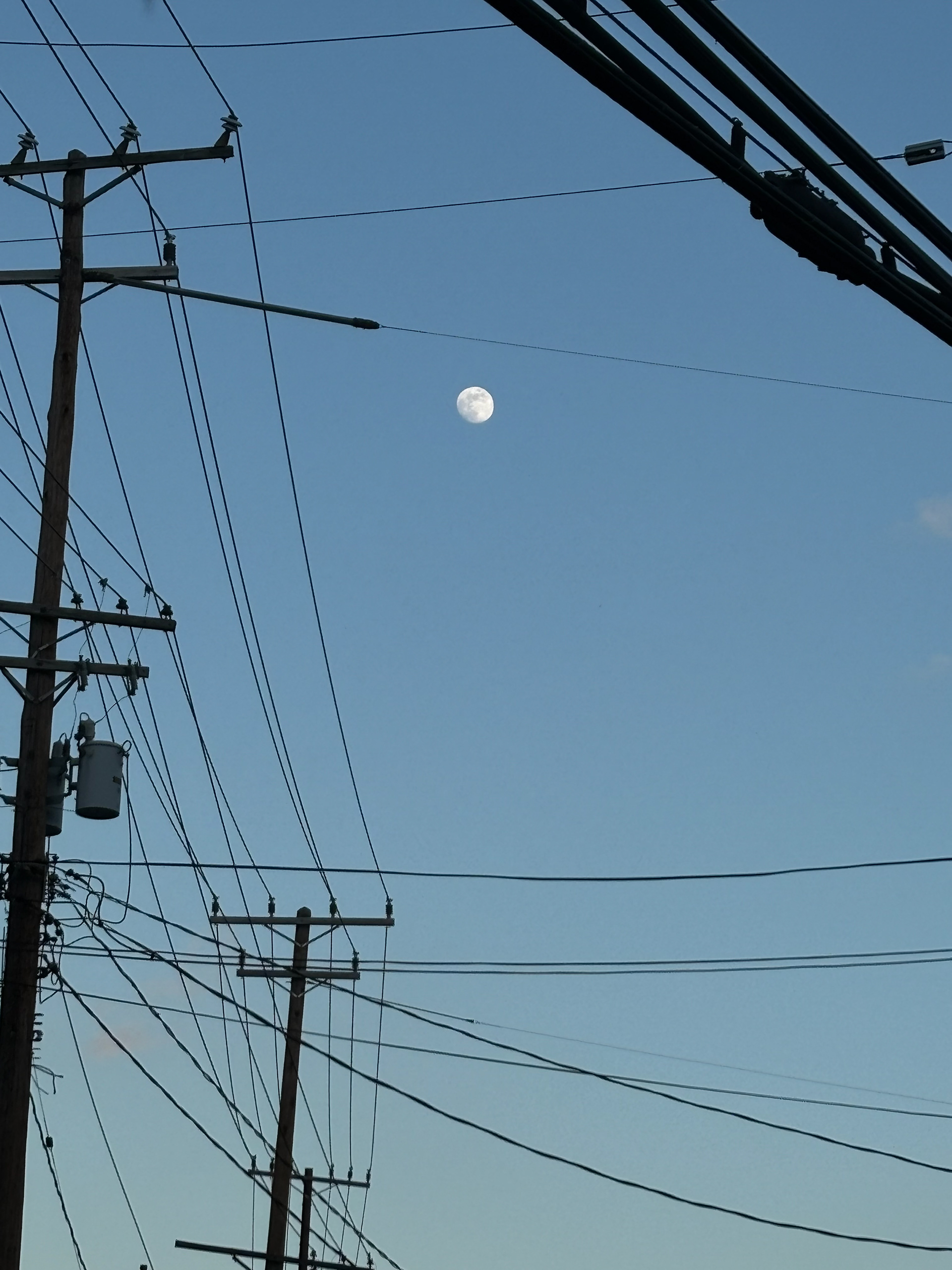 Untitled, 2025, IPhone, Ellicott City MD