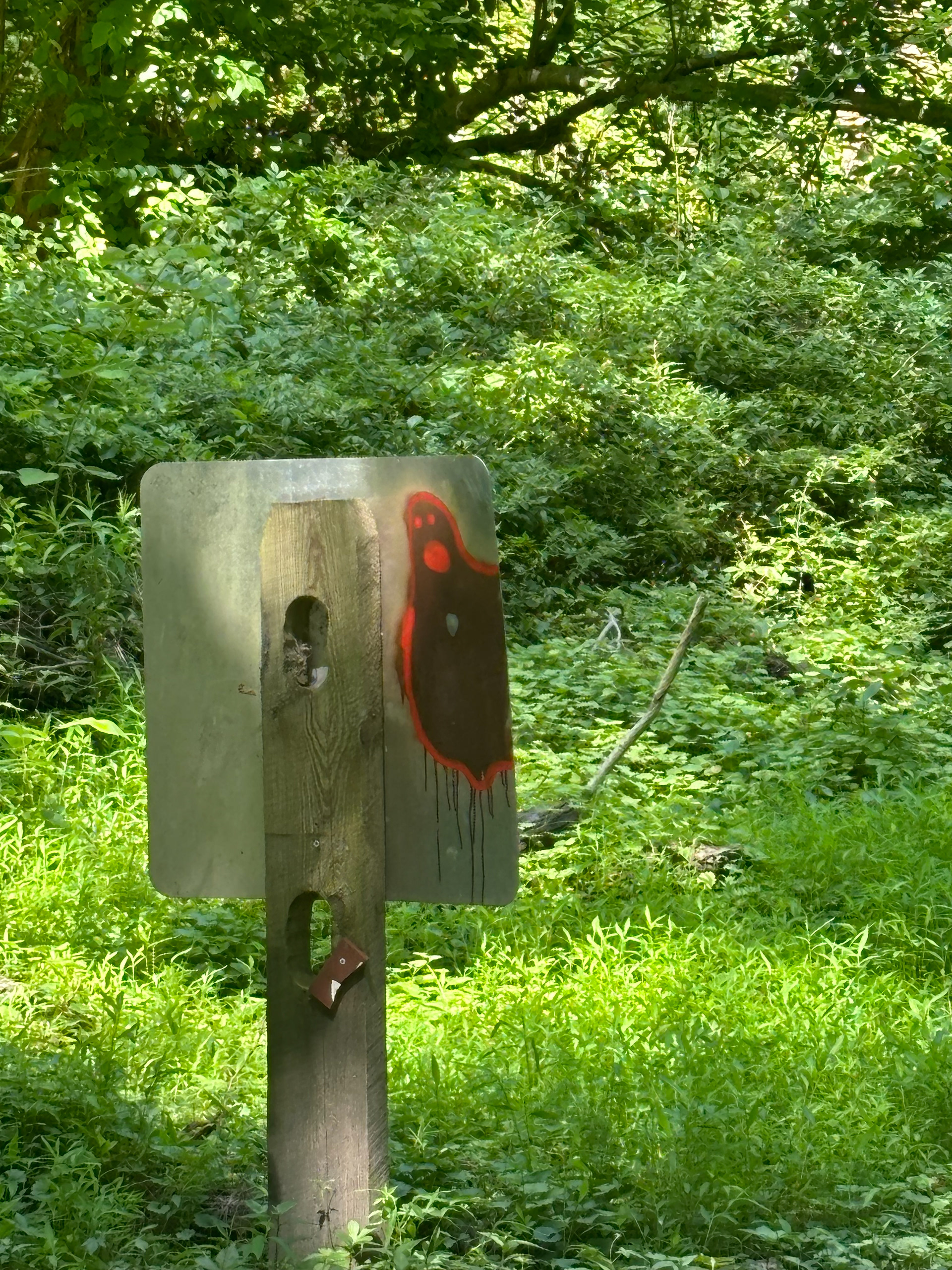 Untitled, 2024, Nikon D3500, Ellicott City, MD