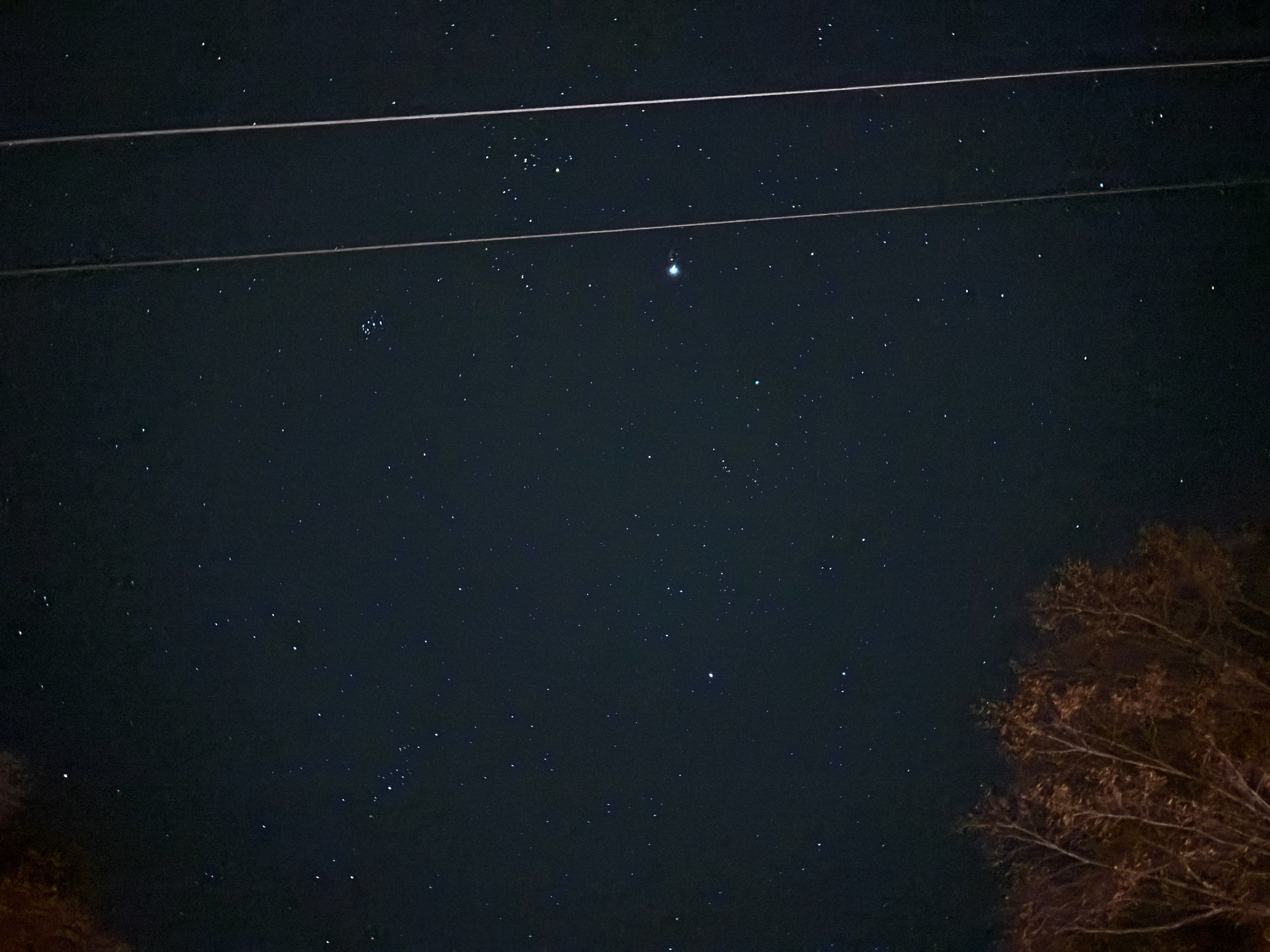 Untitled, 2024, IPhone, Walnut Cove NC