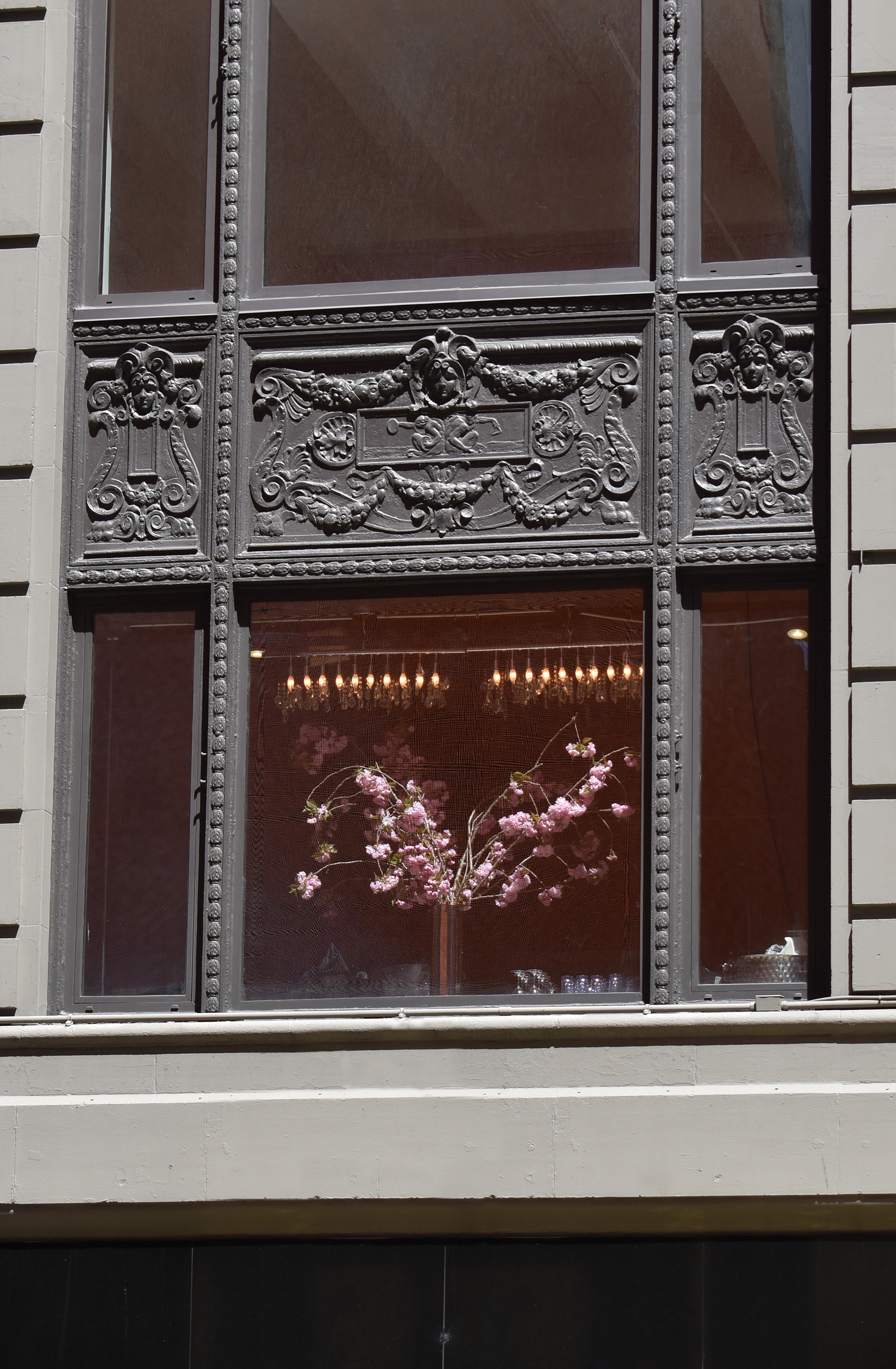 Untitled, 2025, Nikon D3500, New York