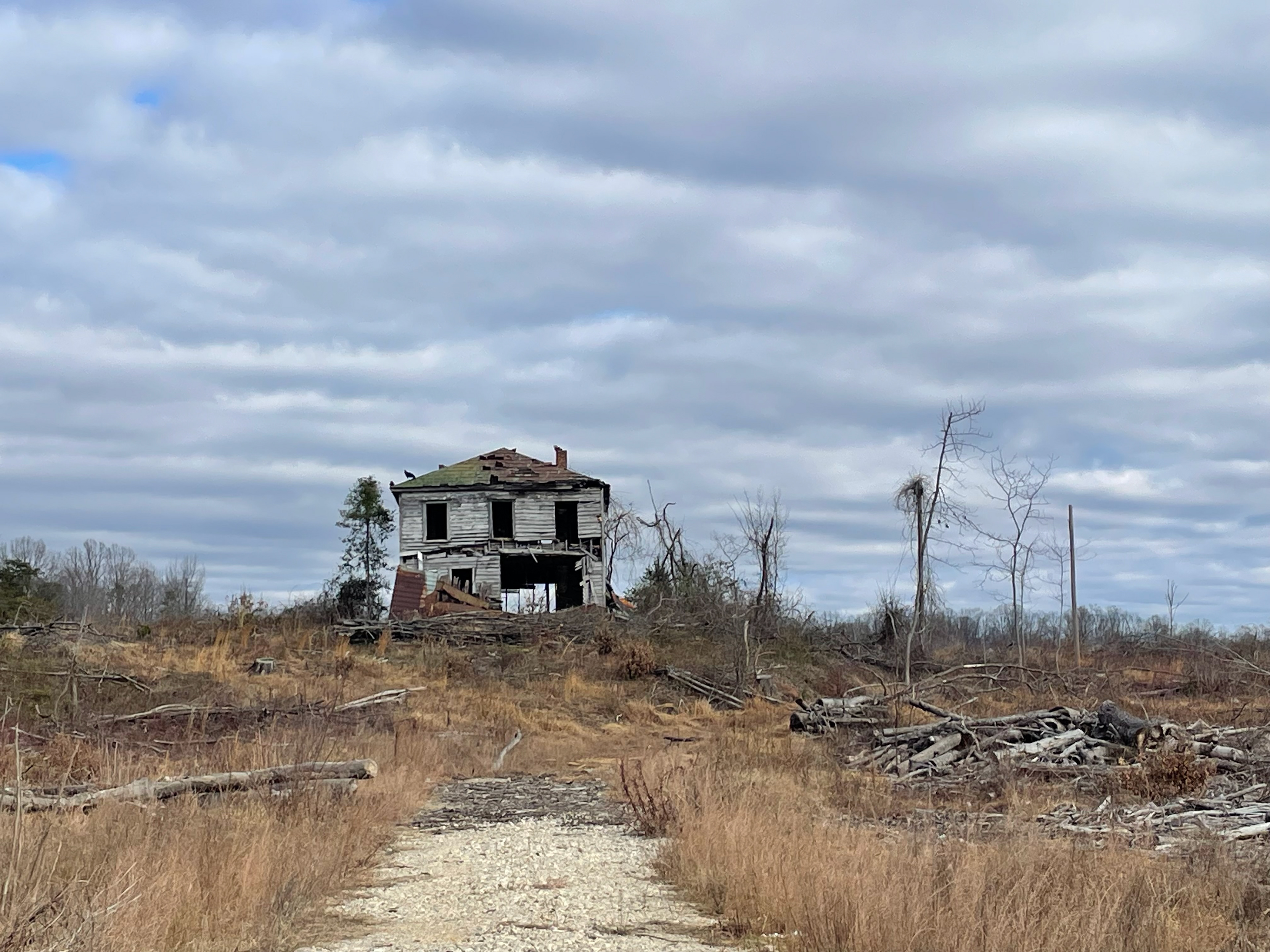 Untitled, 2024, Nikon D3500, Charlotte Hall MD