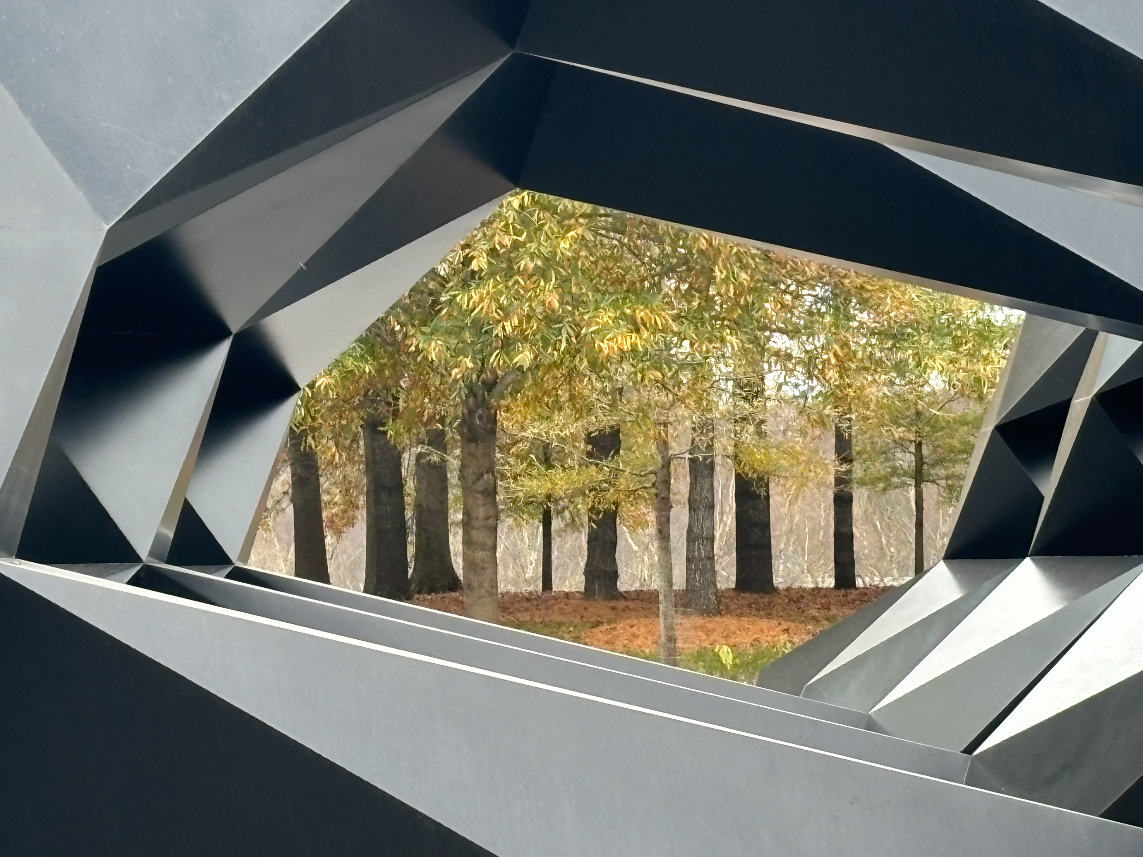 Untitled, 2024, IPhone, Glendale Museum MD