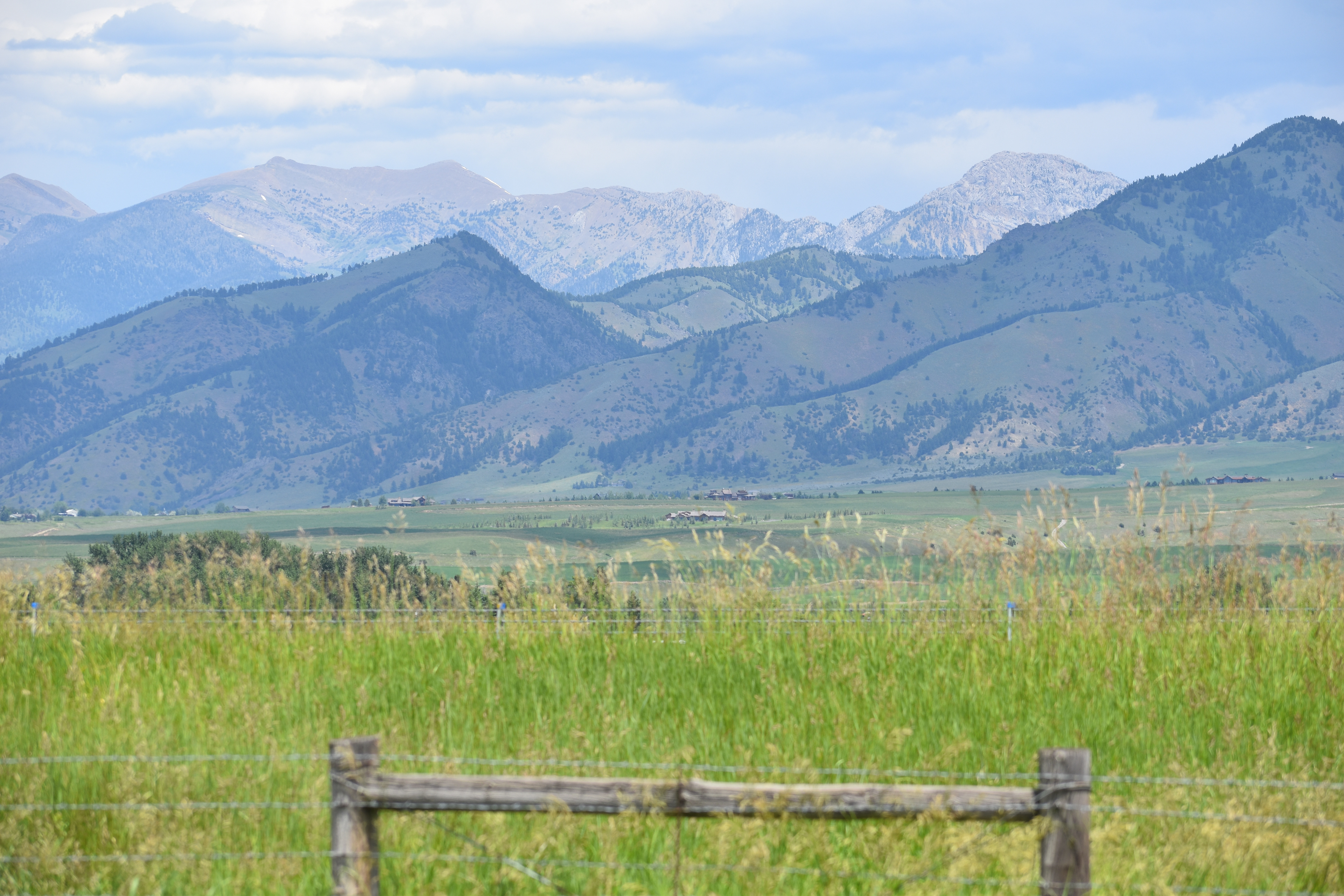 Untitled, 2024, Nikon D3500, Montana