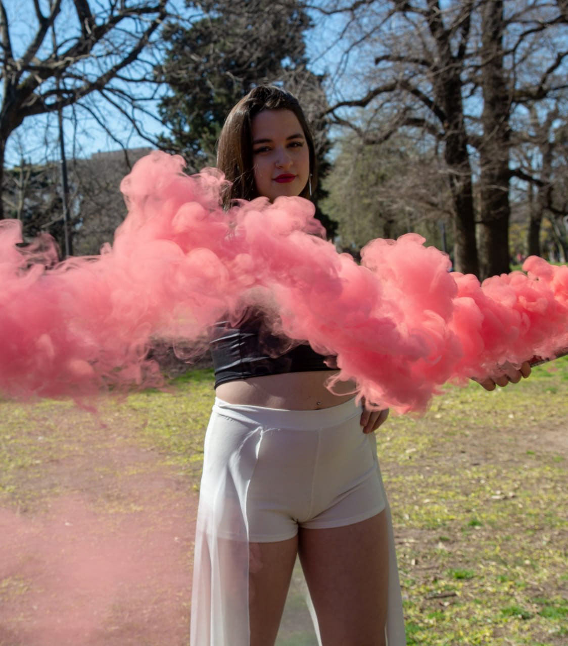 Book XV Orne