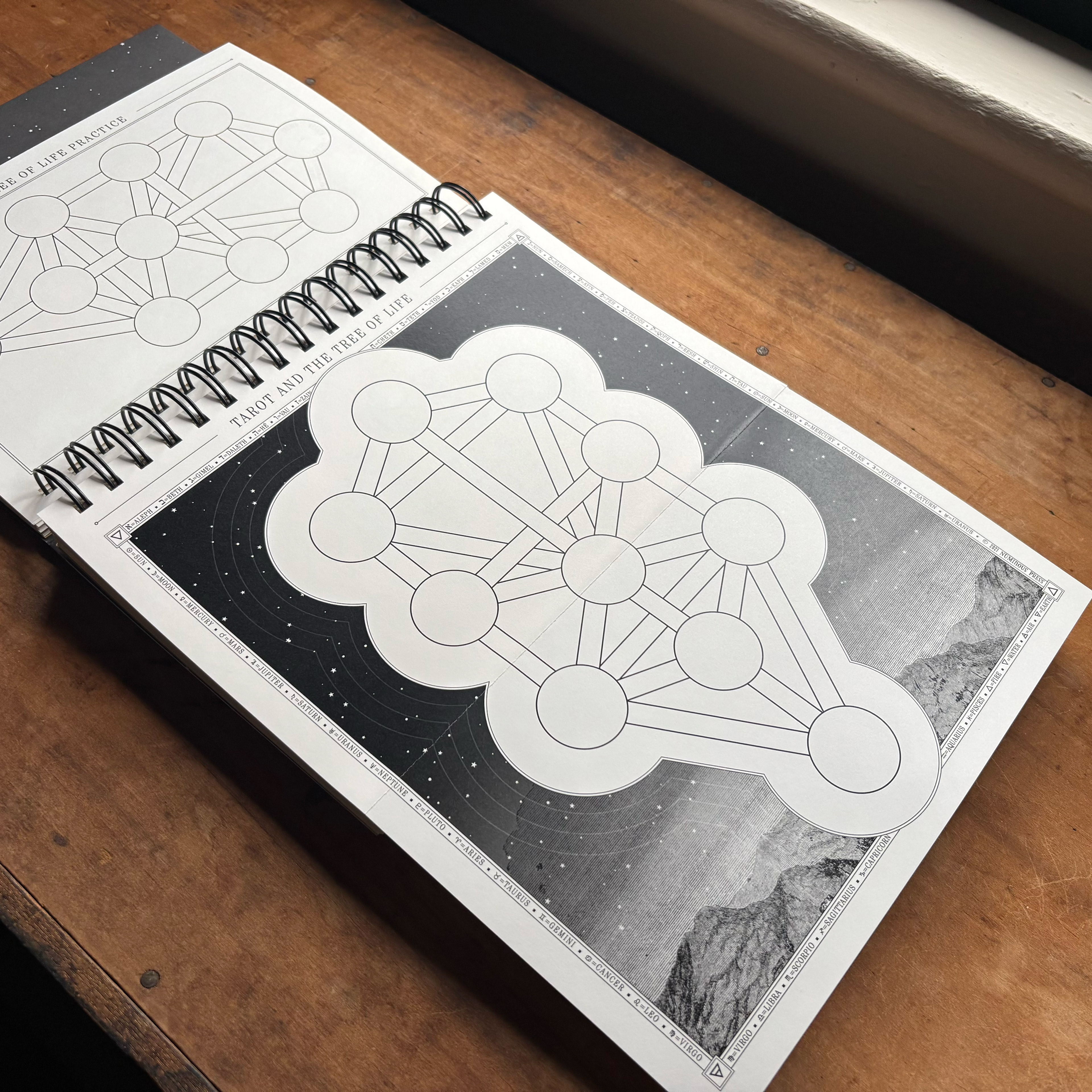 The Great Work Book Tree of Life fold-out poster