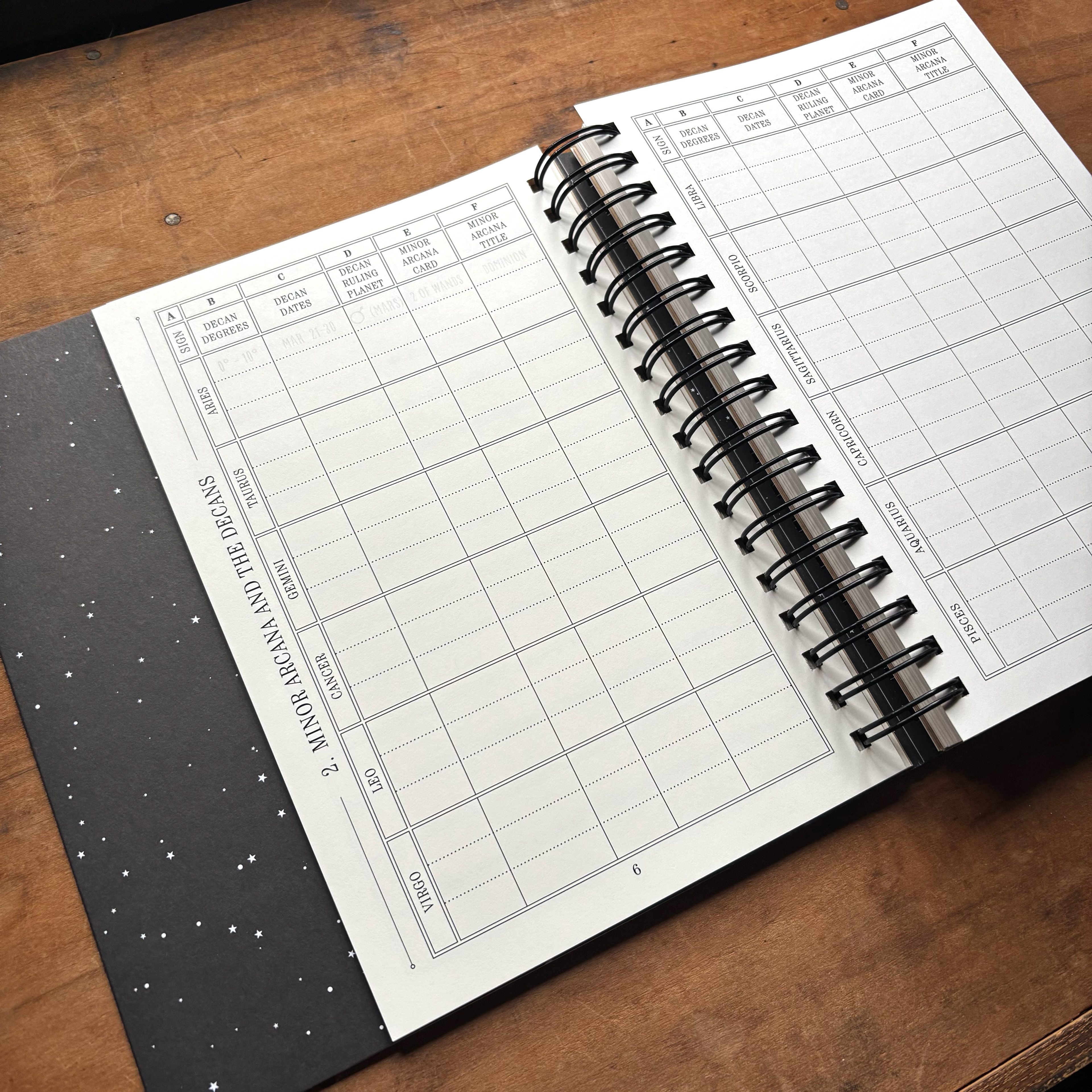 The Great Work Book Astrology/Tarot activity