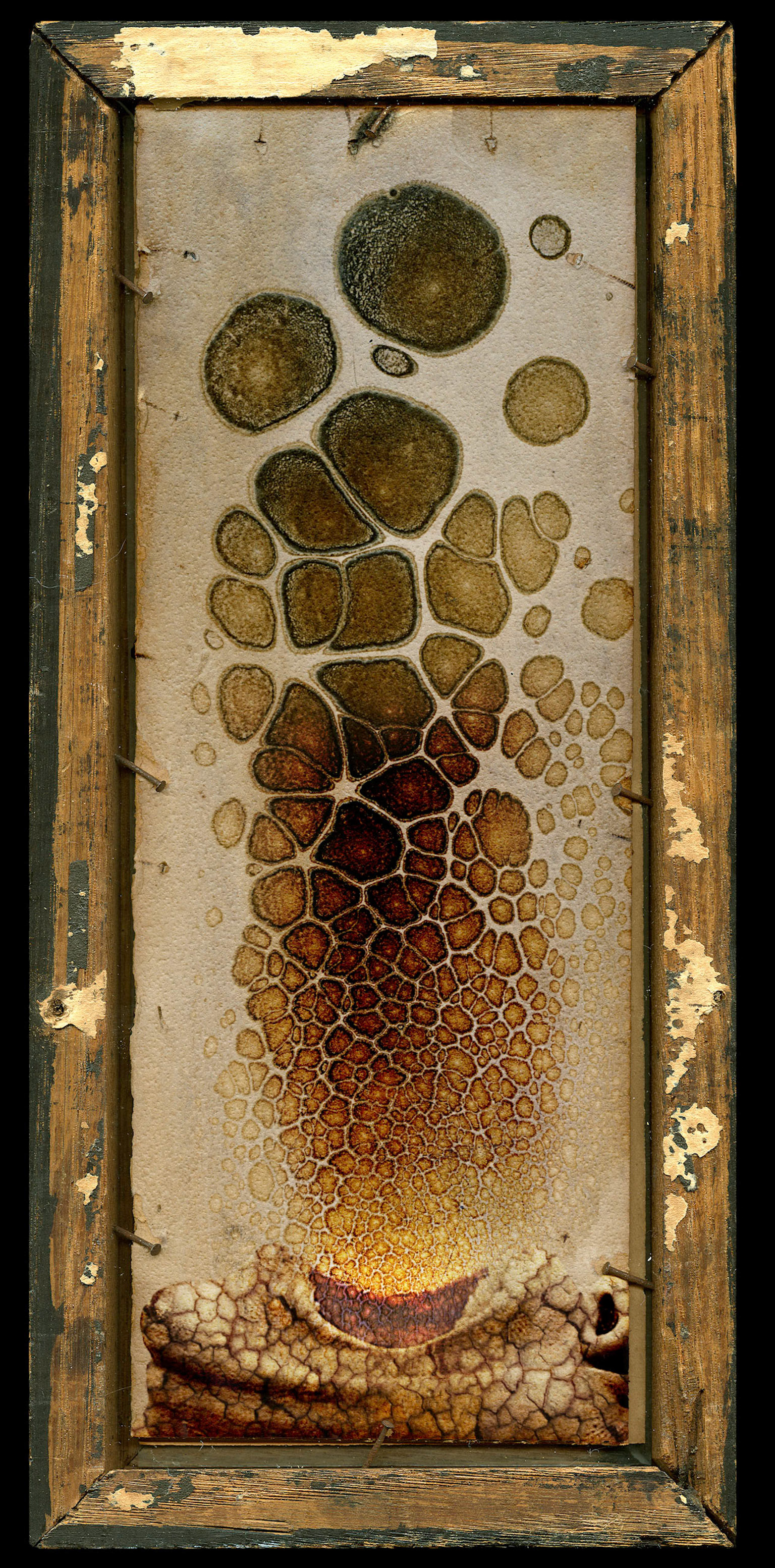 6" x 12.5", Digital Painting, © 2008  Cracked texture in the face provided by Paul Grand at Flickr.