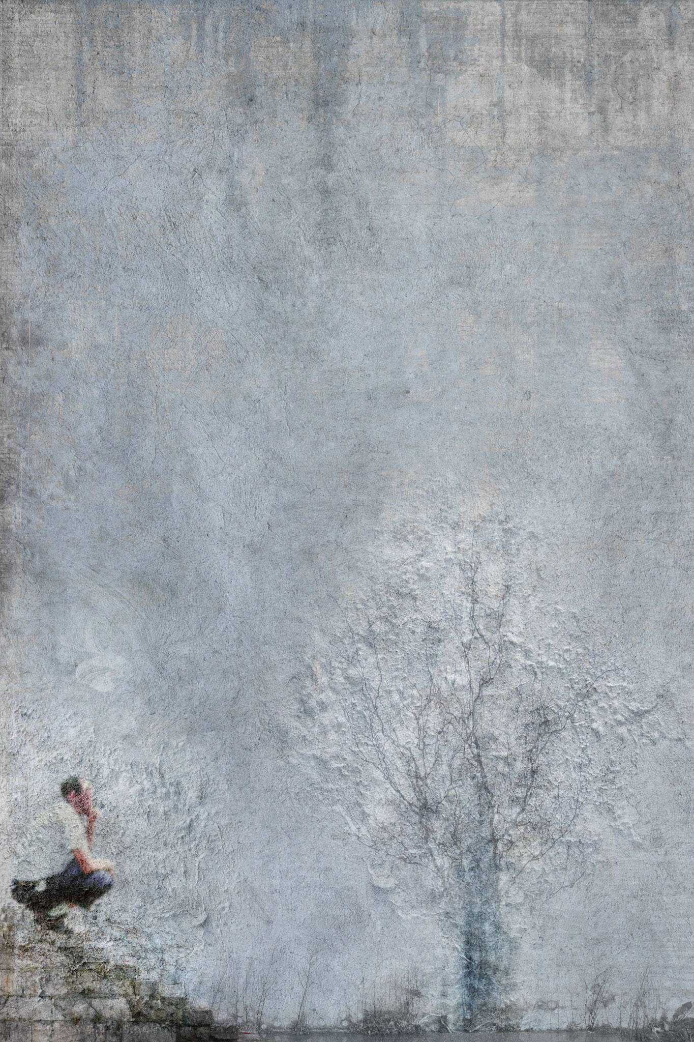 Emergence Series, 2010, digital collage, 25" x 38"