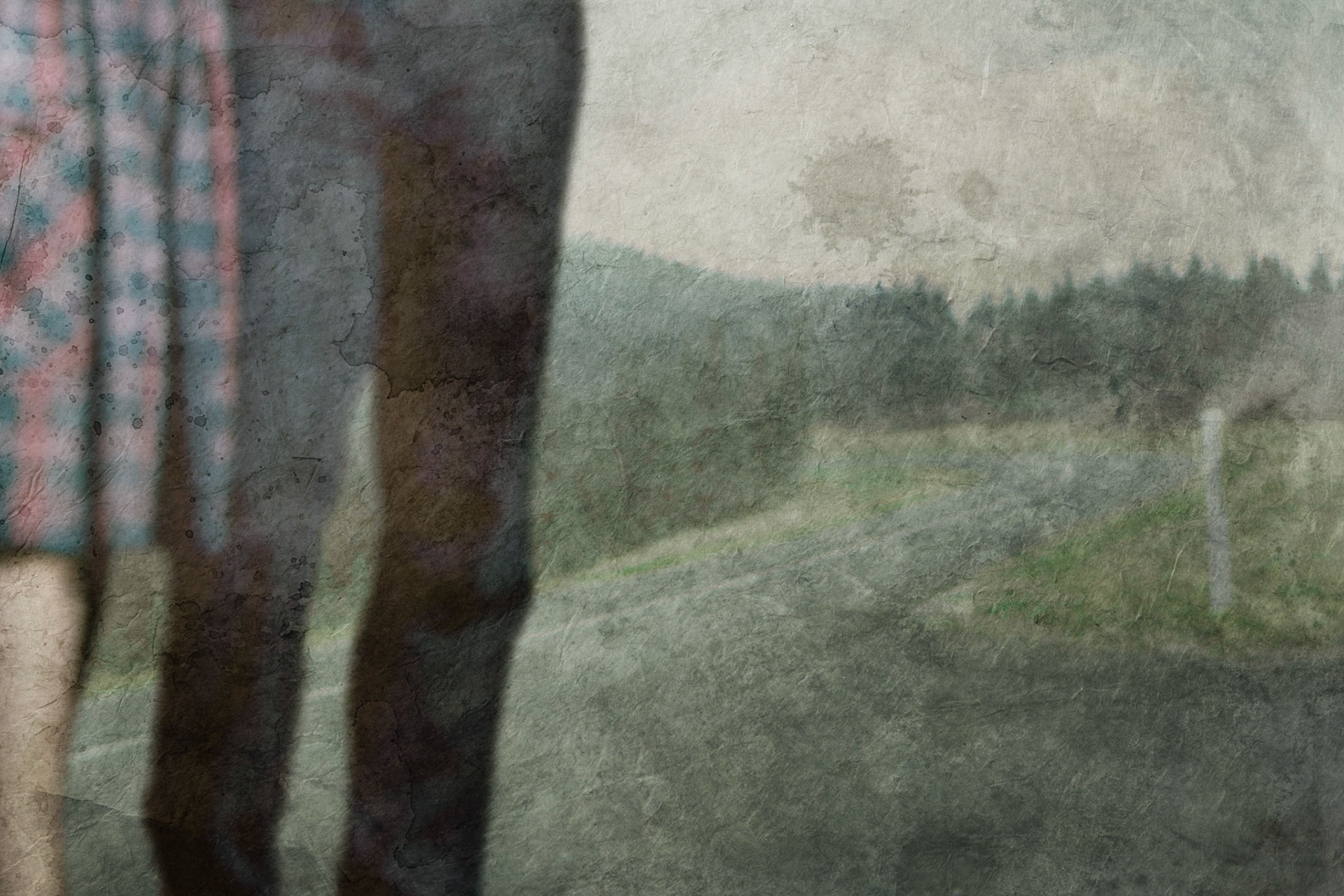 Digital Painting/Collage, 13" x 8.5", Copyright © 2009 M Fortune.  All rights reserved.