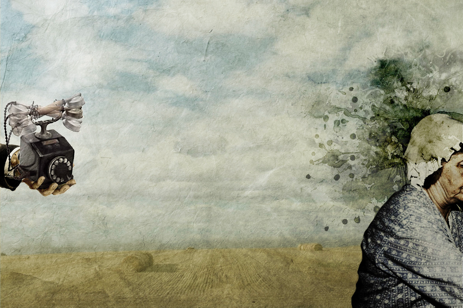 Digital Painting, 13" x 8.5", Copyright © 2009 M Fortune and its licensors.  All rights reserved.