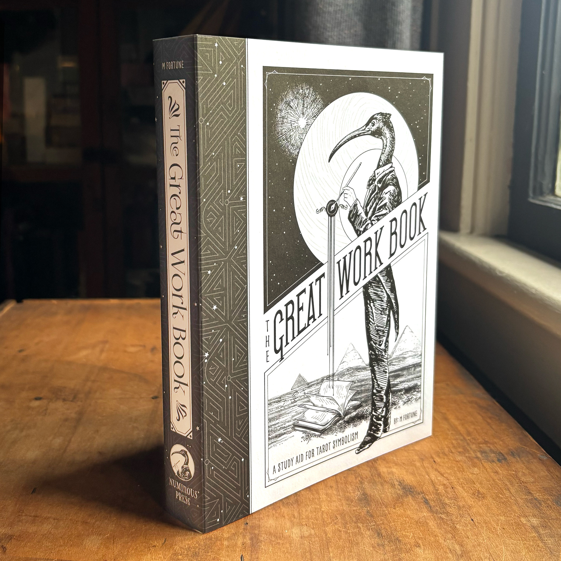 The Great Work Book study aid and journal for tarot symbolism