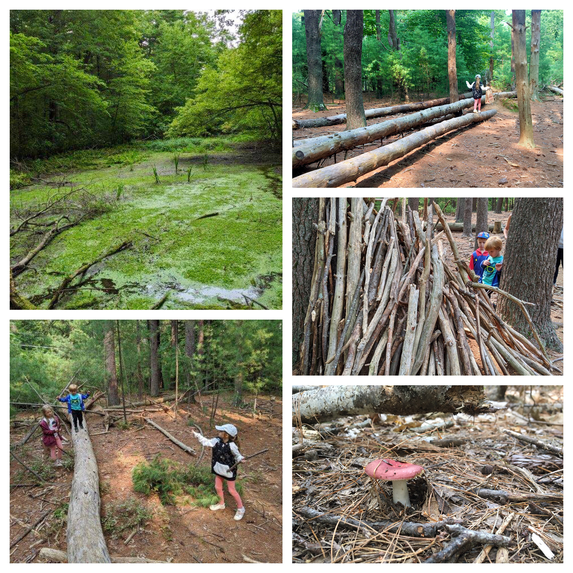 Moose Hill material gathering